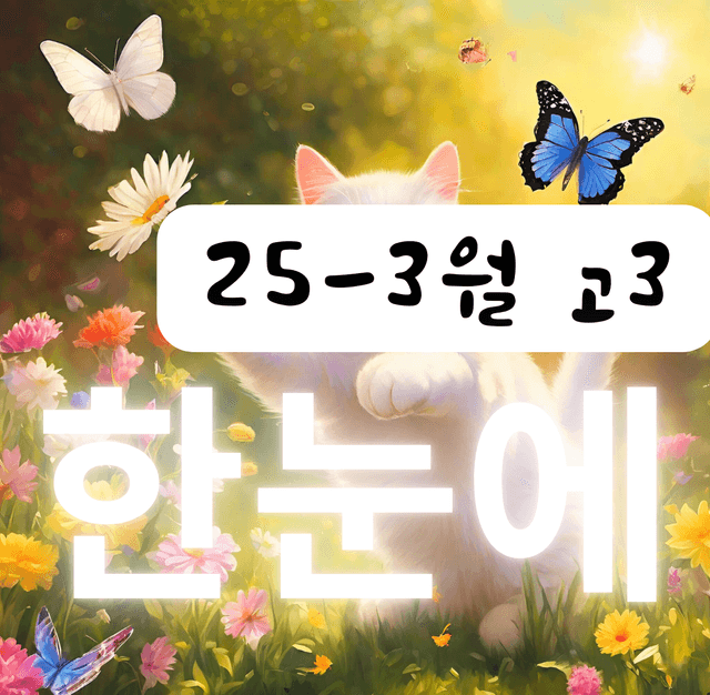 product-thumbImg-25년 3월 고3 모의고사 한눈에 정리 전국연합 직전보강