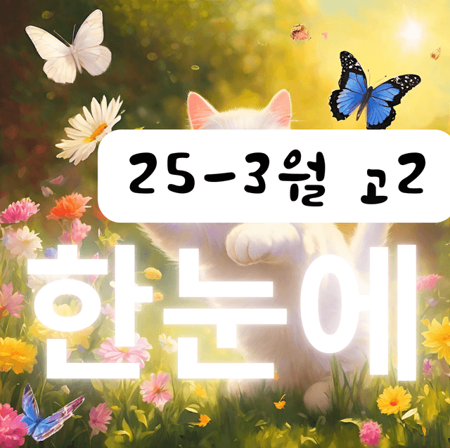 product-thumbImg-25년 3월 고2 모의고사 한눈에 본문정리 전국연합 직전보강