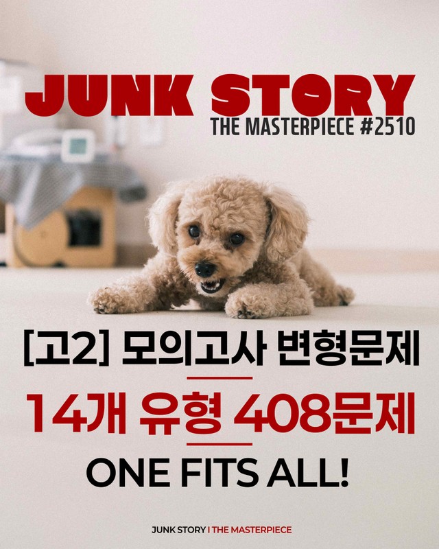 product-thumbImg-[★ 정크스토리] 고2 25년 10월 모고 변형 - 14개 유형 408제