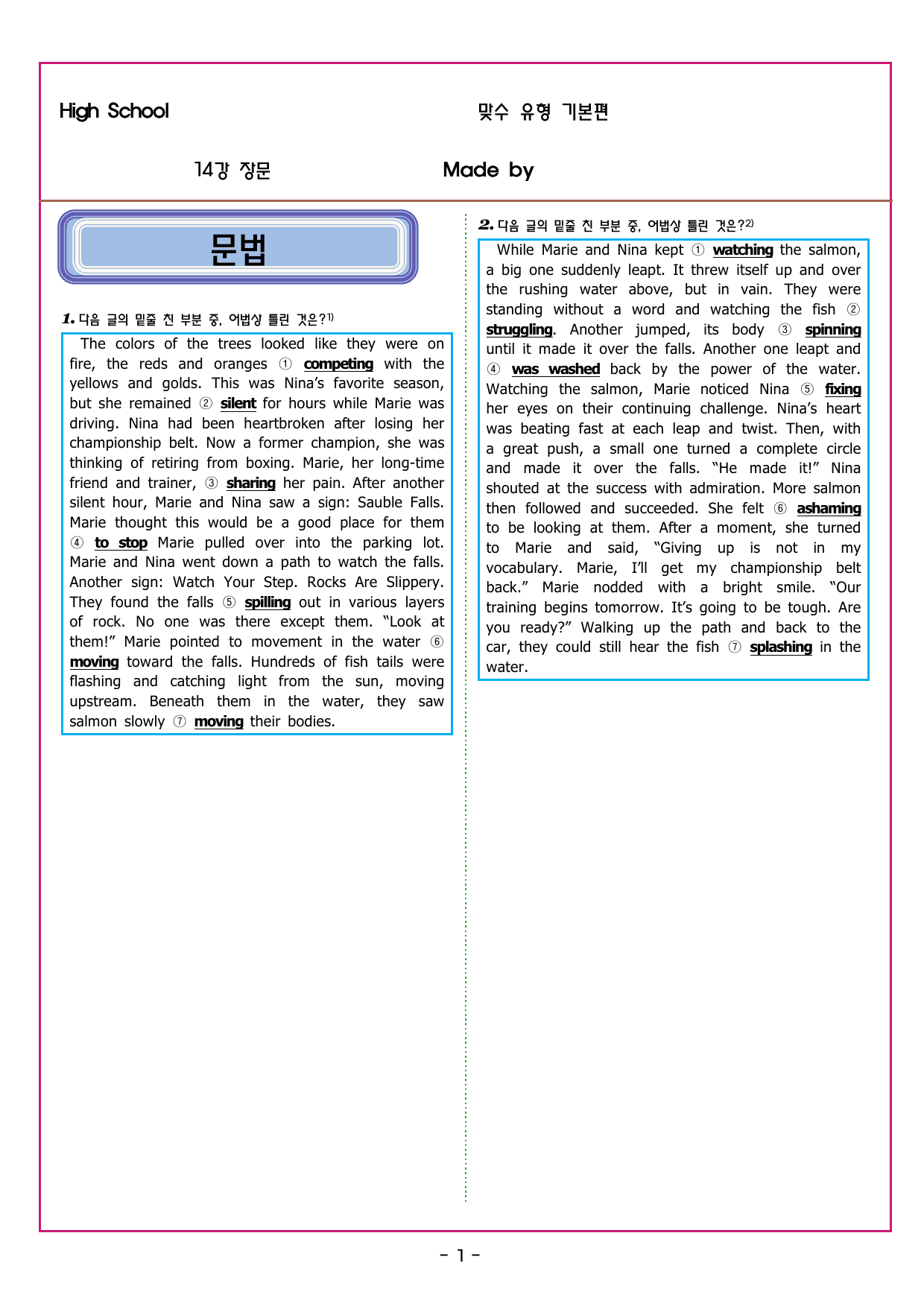 맞수 수능유형 기본편 14강 장문_preview_undefined