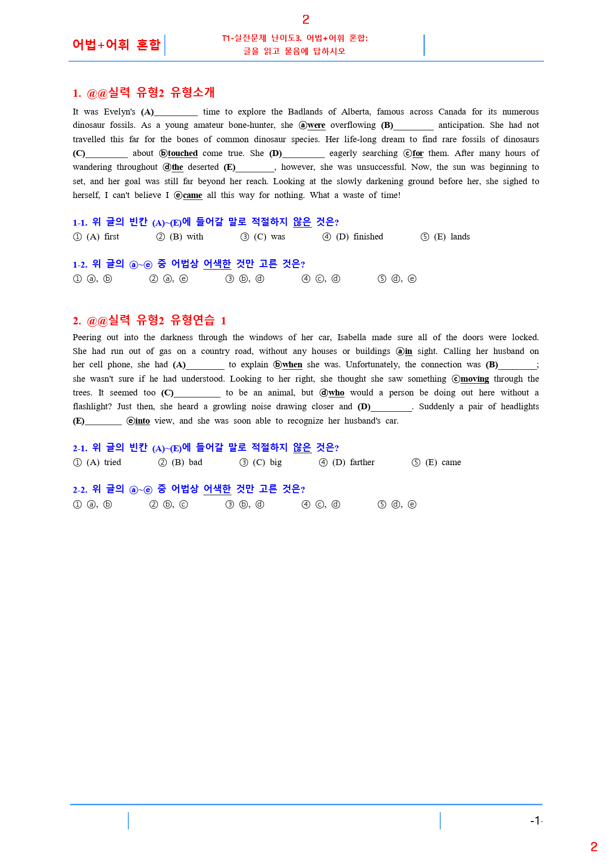 수능유형 PICK 실력 T3. 어법+어휘 혼합, 80쪽 258제_preview_2