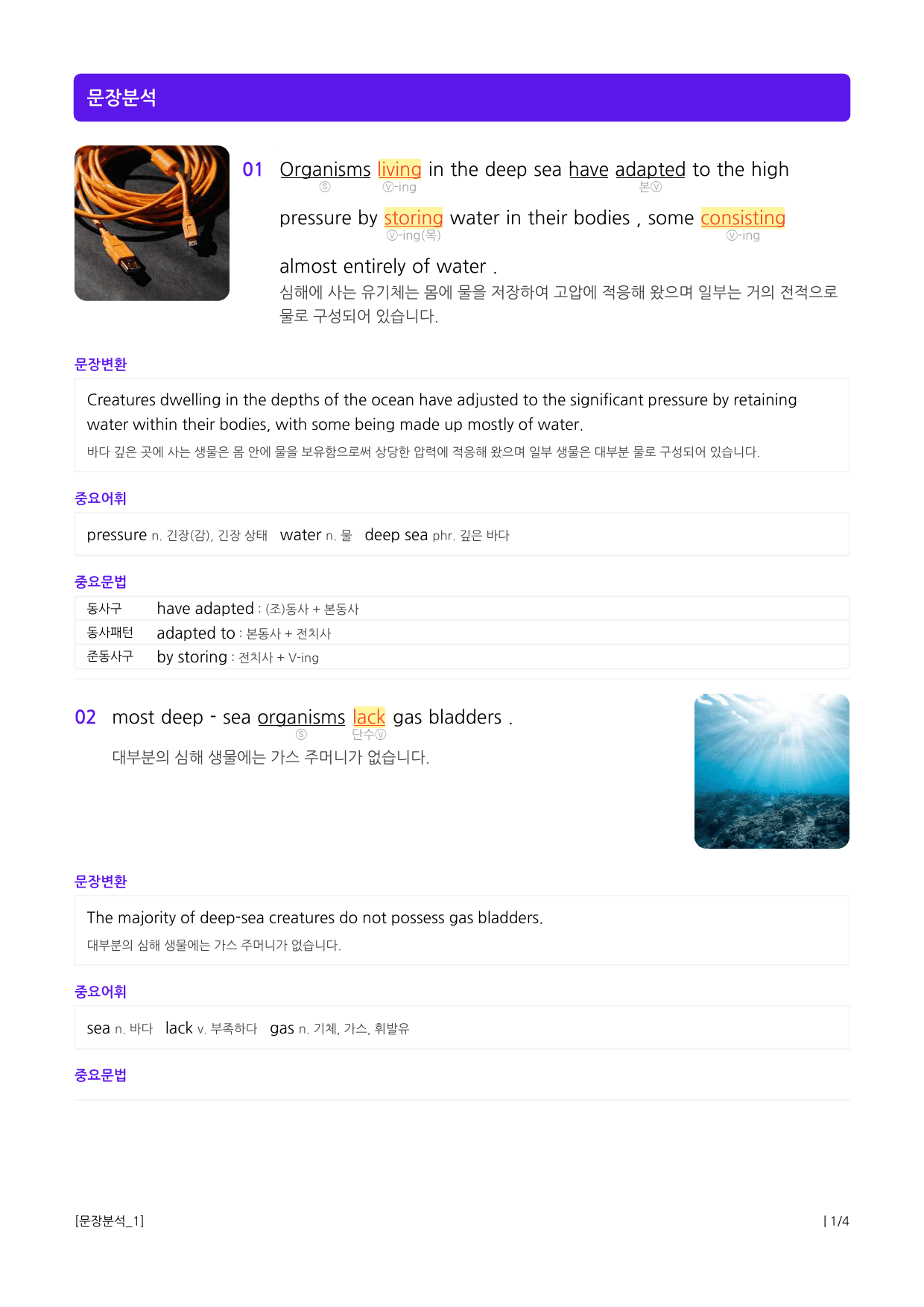 수능유형 픽 독해 실력 PART1 유형09 어법_preview_3