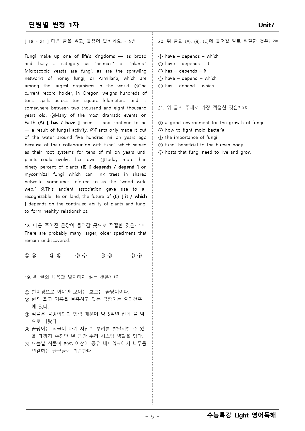 수능특강 Light 영어독해 7단원 변형문제_preview_5