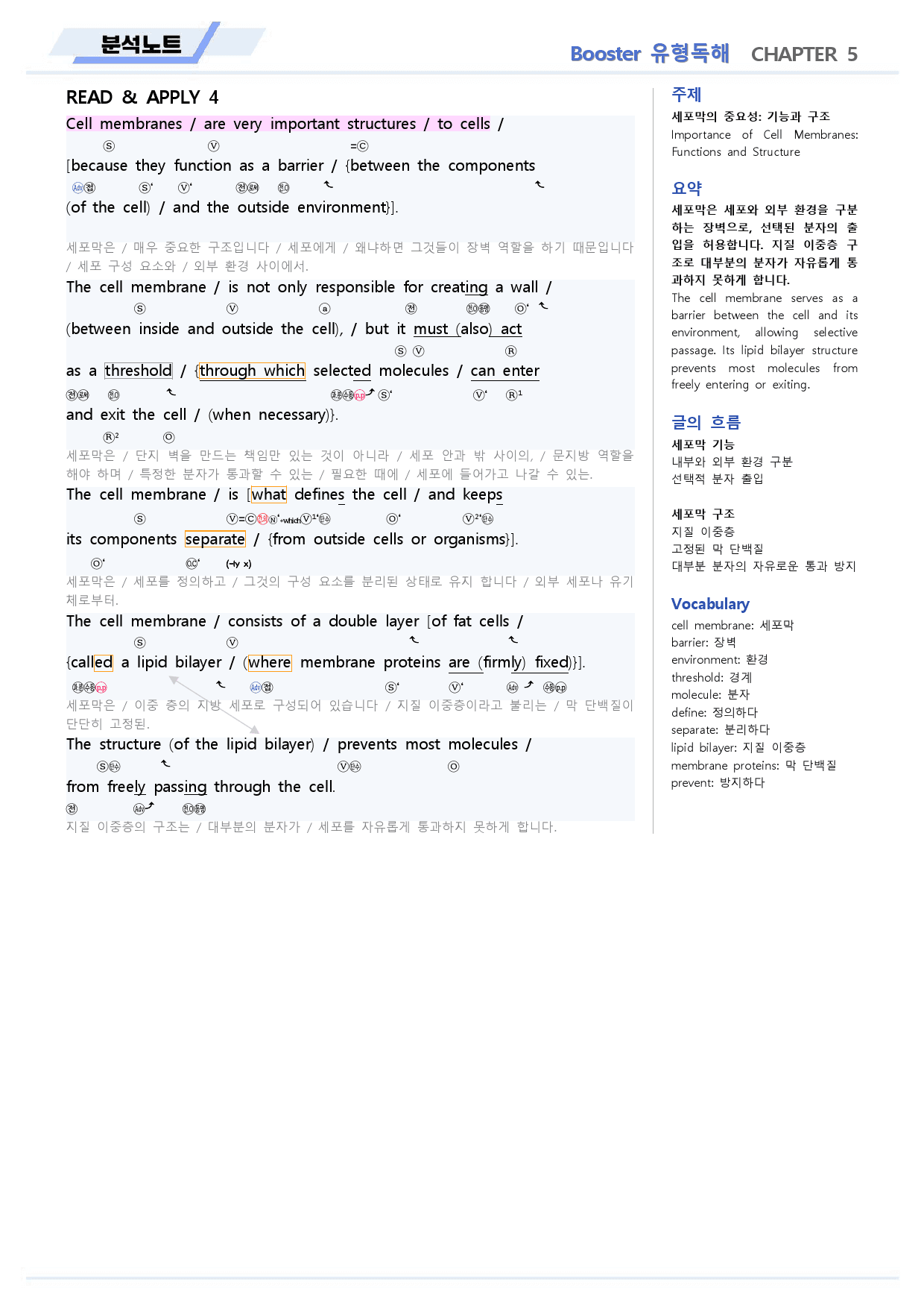 부스터 유형독해 분석노트 15 15강 15과 BOOSTER (개정)_preview_7