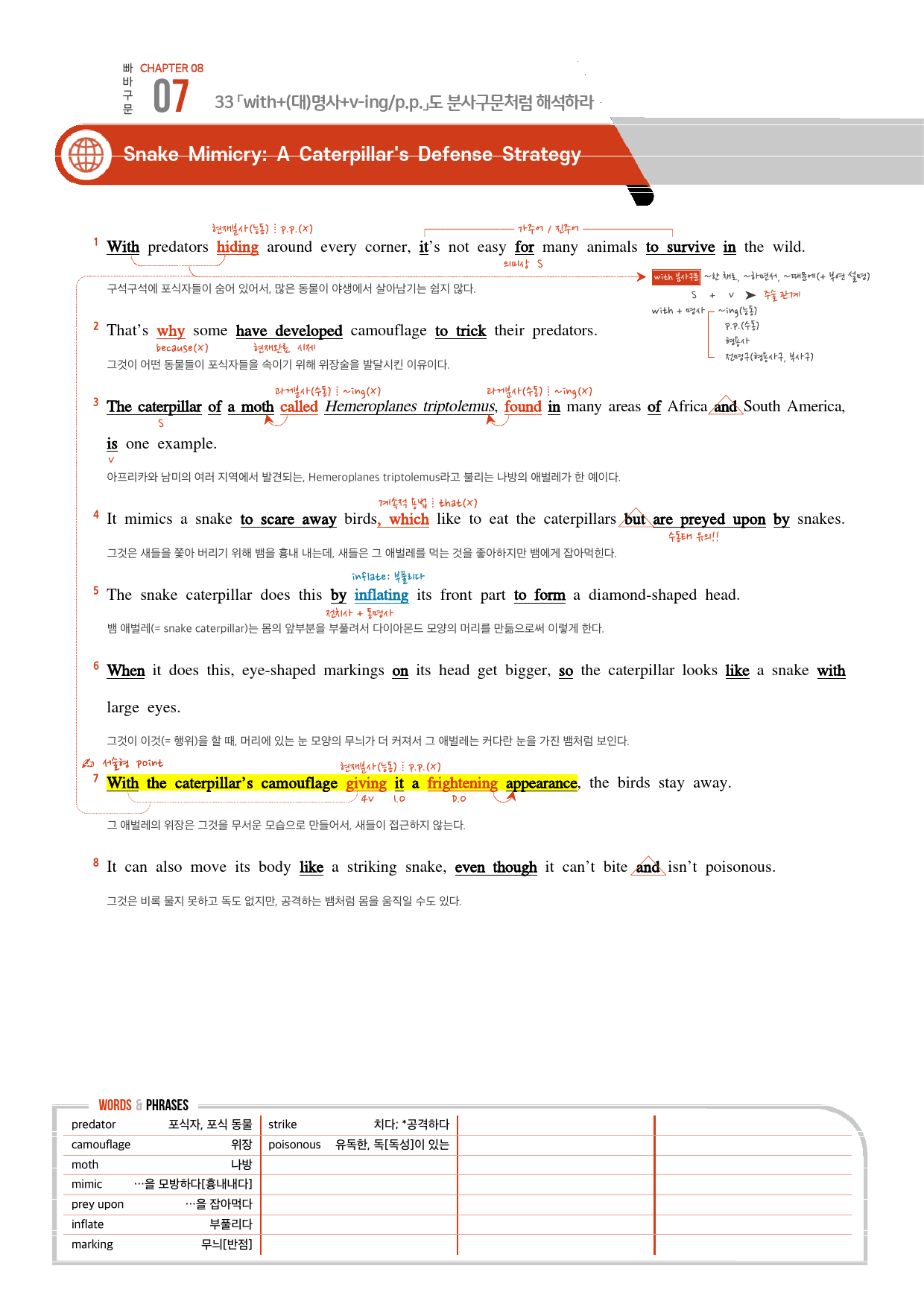 빠른독해 바른독해 구문편 1강~9강 해석유형 34 분석노트_preview_65