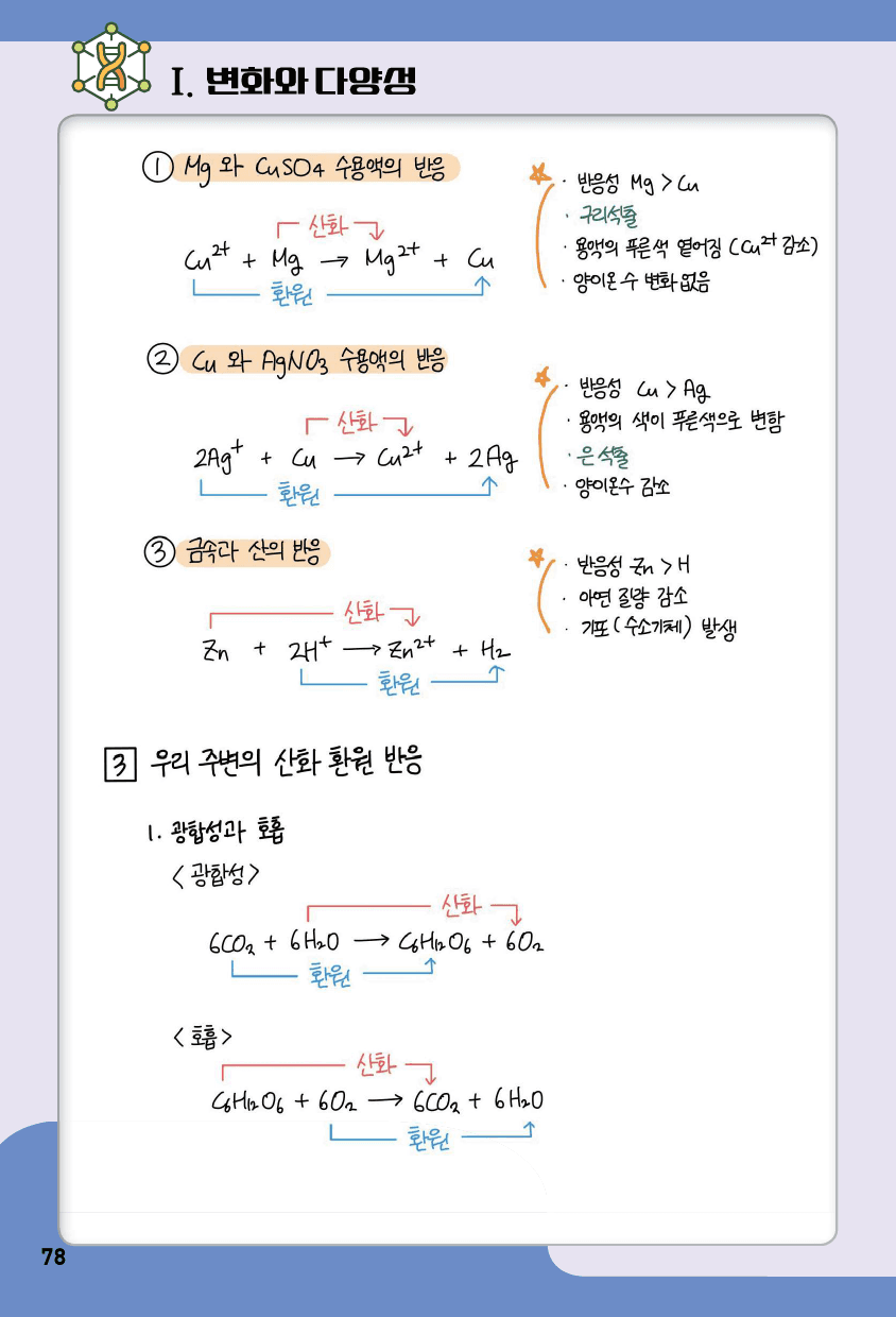 통합과학2_1단원 변화와 다양성 summary 노트_preview_17