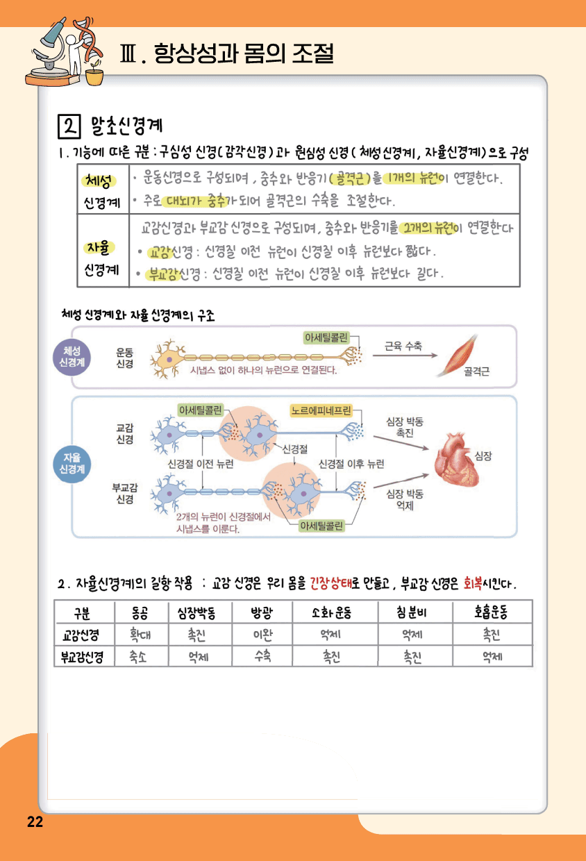 생명과학 1 3단원 항상성과 몸의 조절 summary 노트_preview_8
