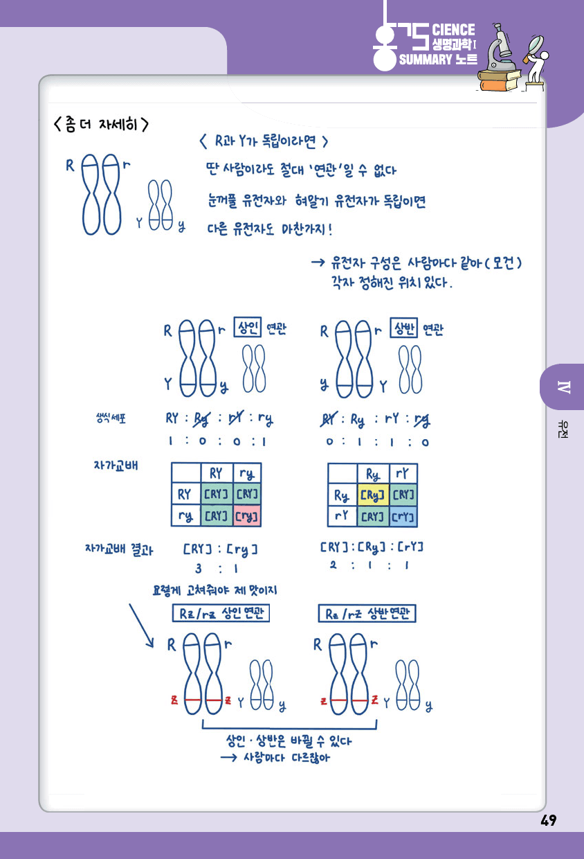 통학과학 1 4단원 유전(2) summary 노트_preview_1
