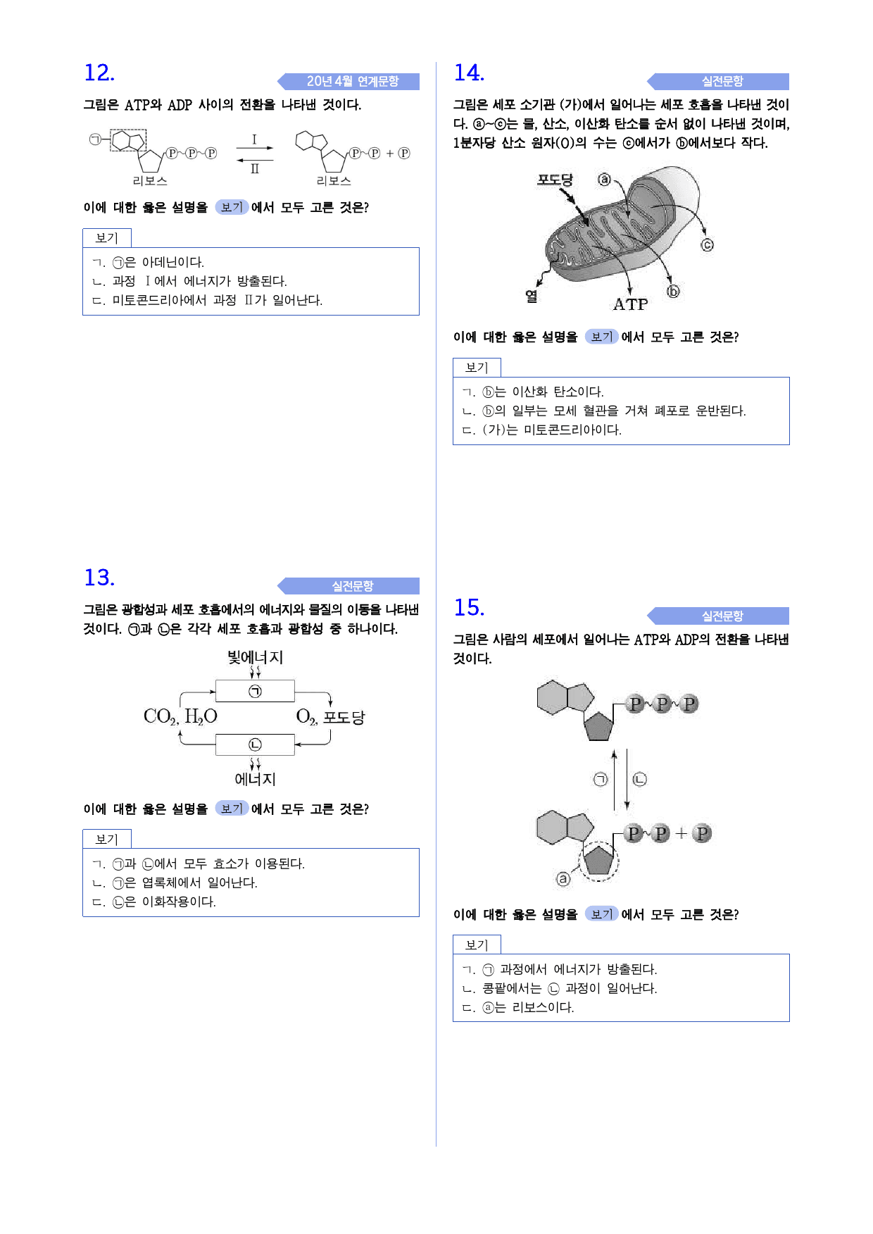 생명과학 1 2-1 생명활동과 에너지 기출변형_preview_5