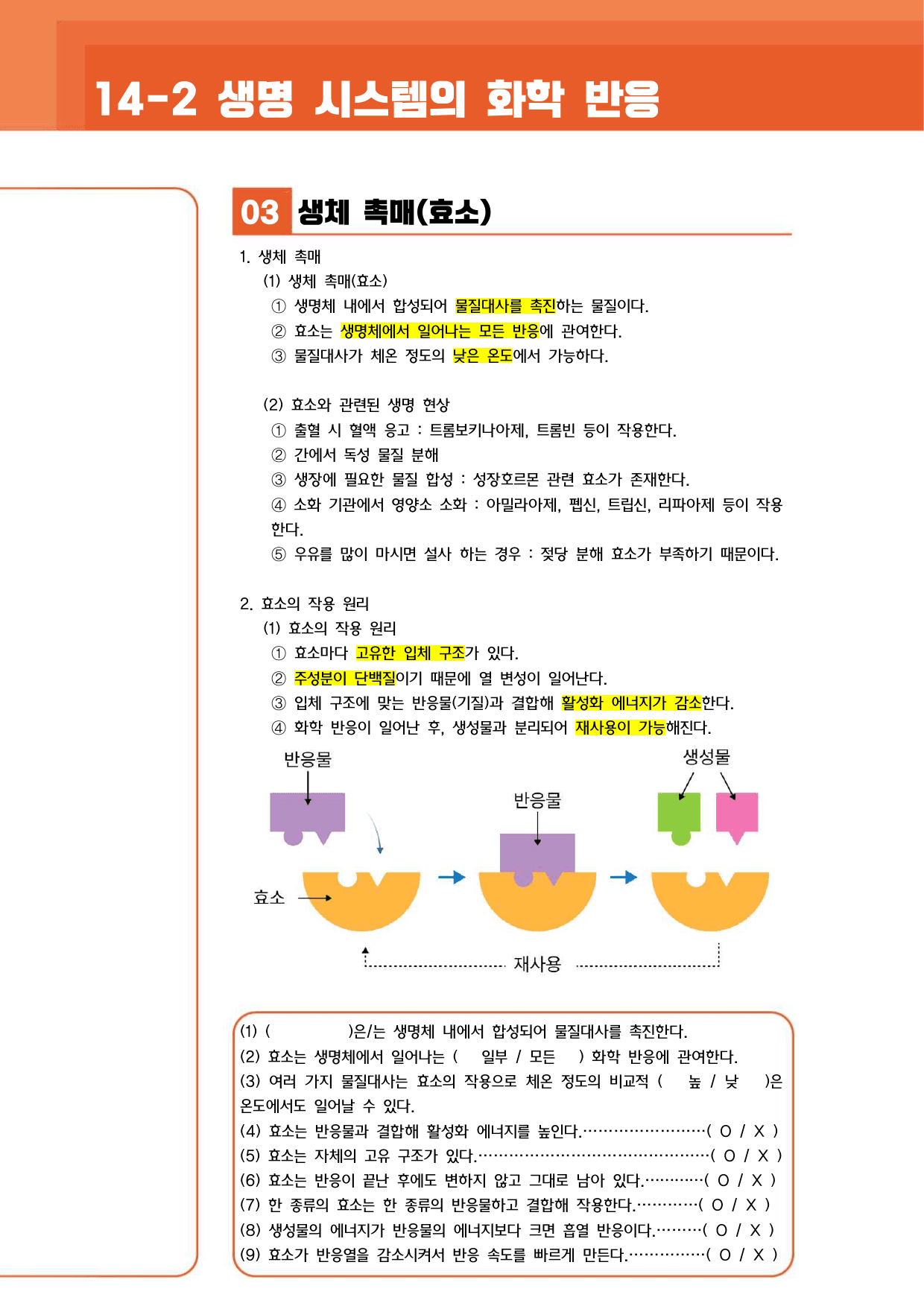 ★1등급 달성★ 14-2 세포막 (꼼꼼개념+유형연습)_preview_undefined