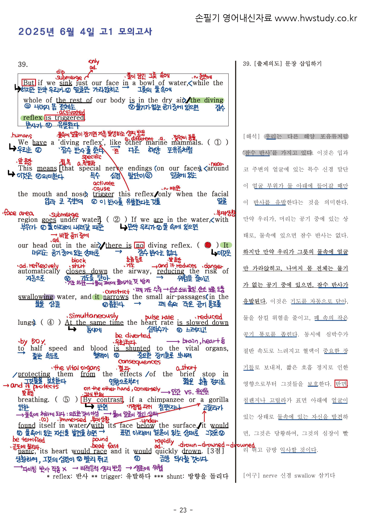 2025년 6월 고1 전국연합모의고사 (본문분석)_preview_23