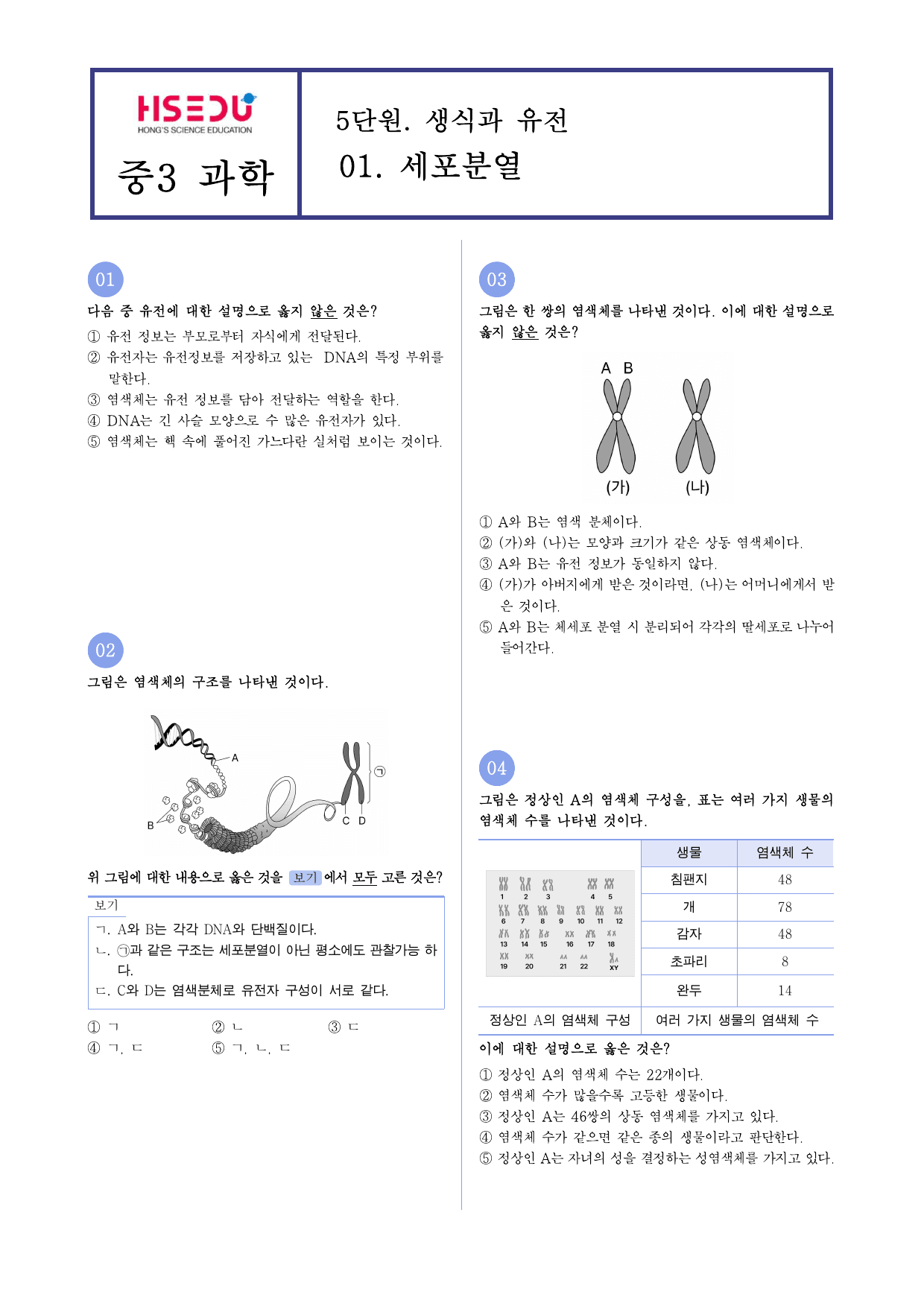 중3-2 5단원 생식과 유전 - 01 세포분열 빈출 유형_preview_undefined