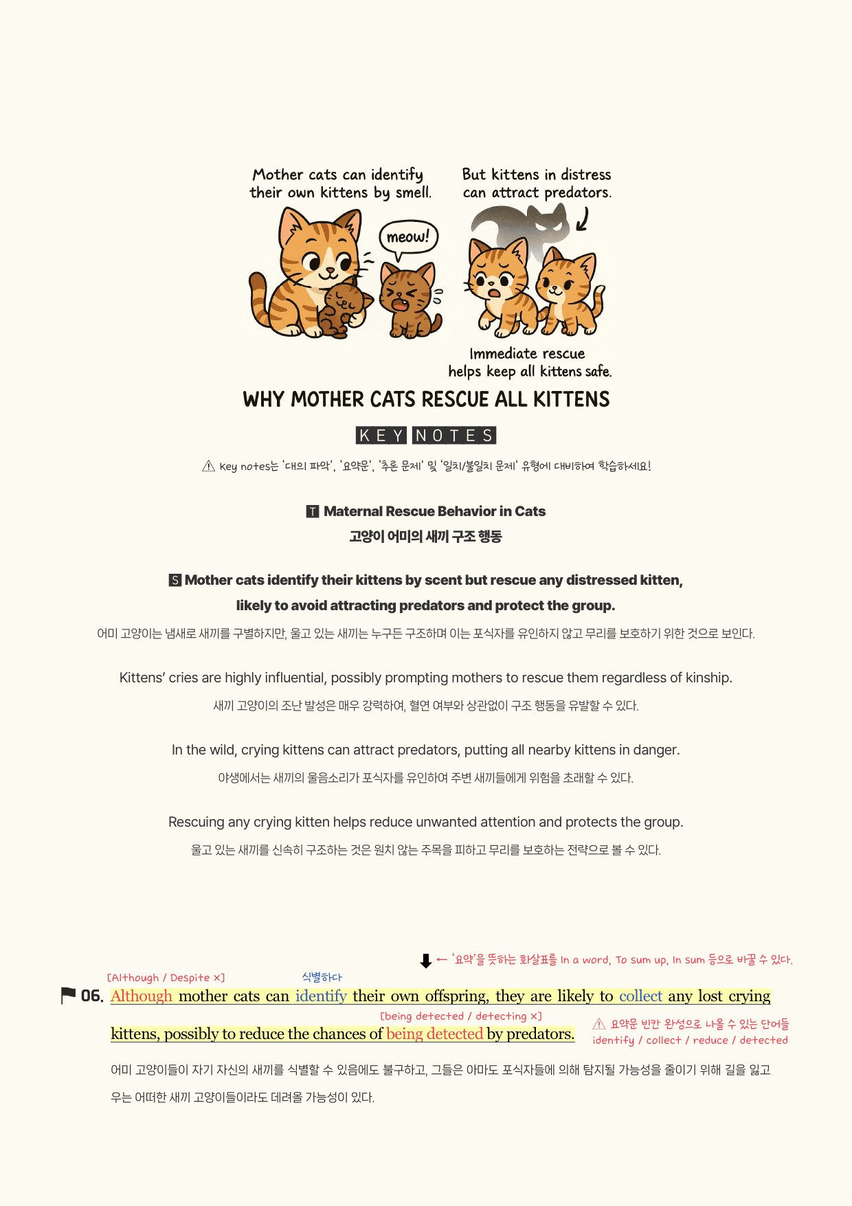 2025-09-고2-분석노트_preview_undefined