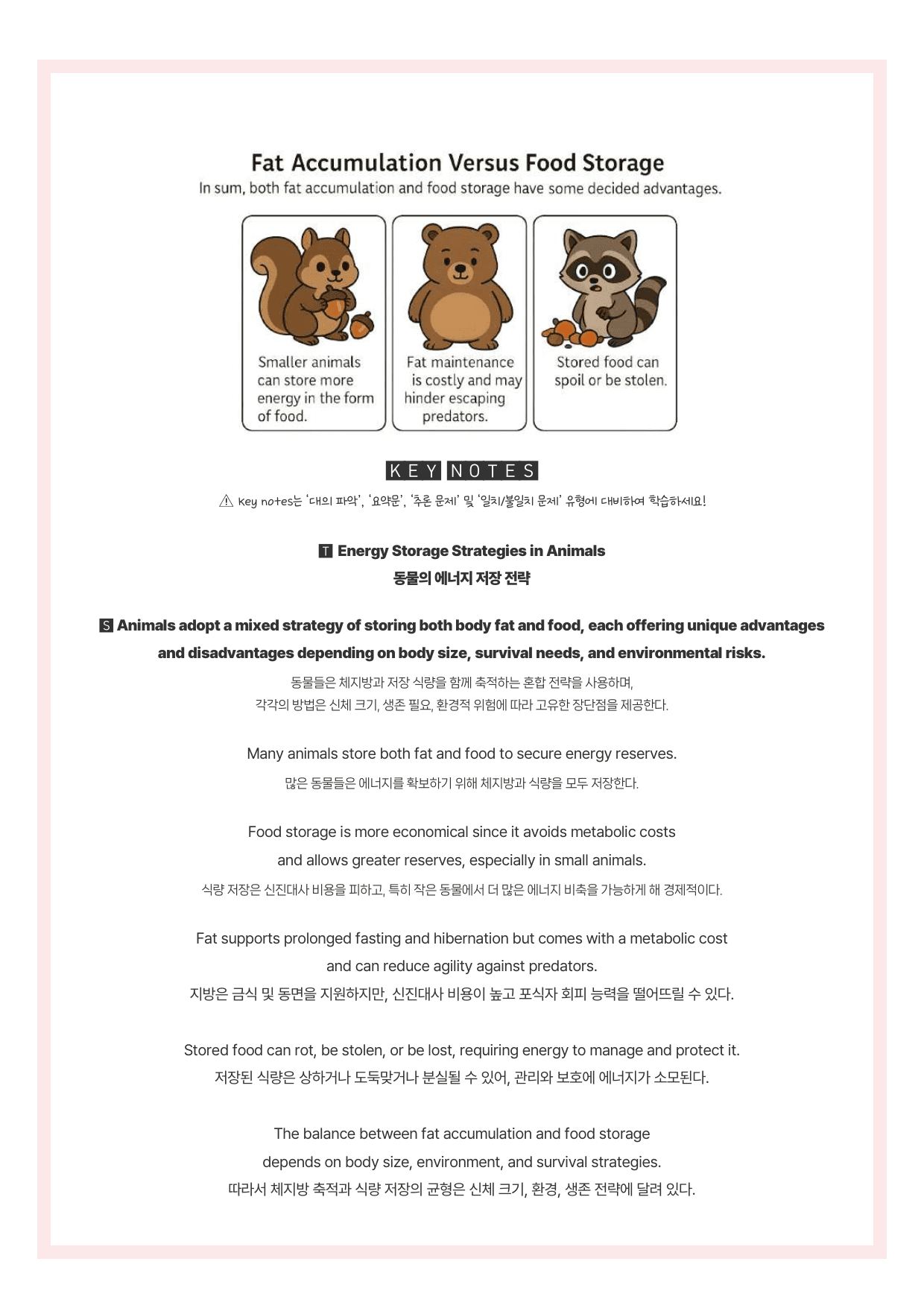 2025-09-고2-분석노트_preview_undefined