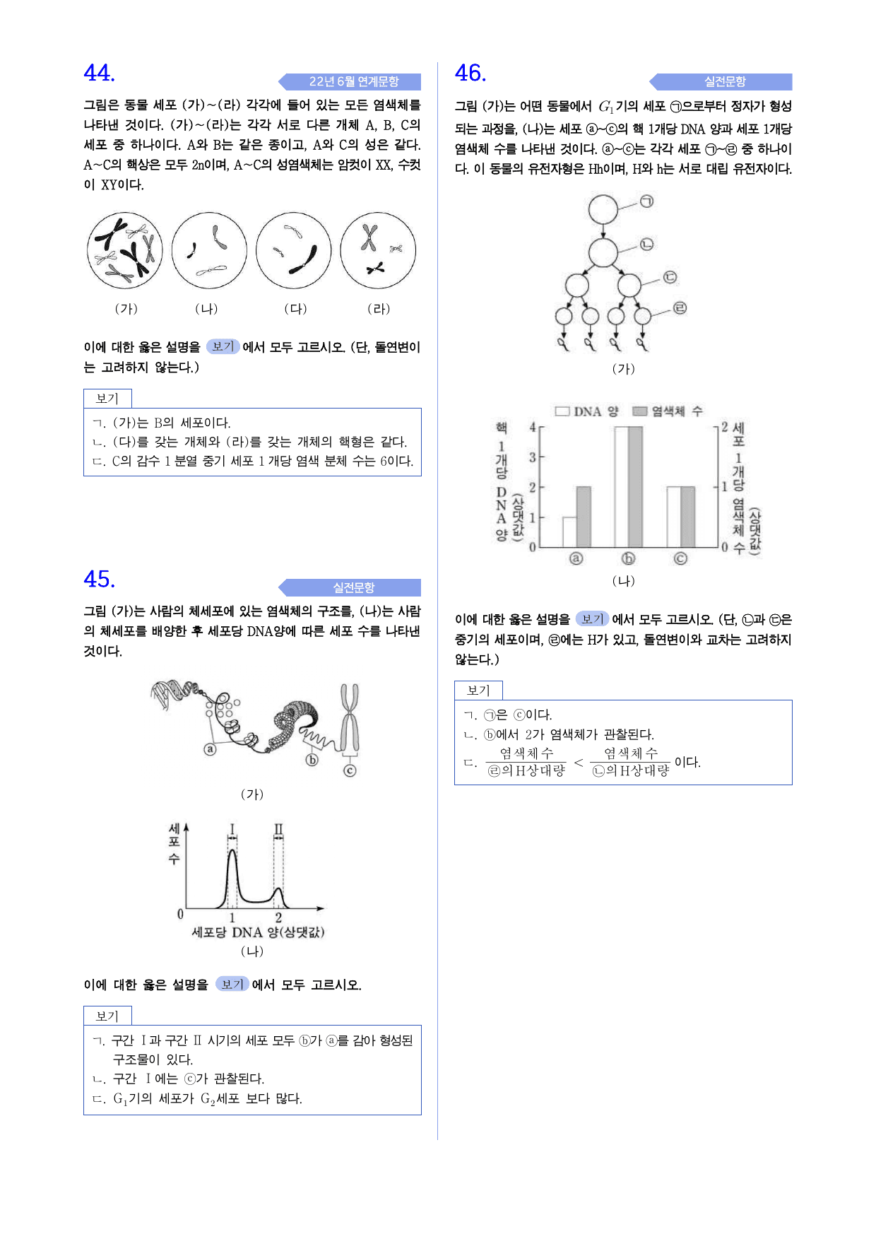 생명과학 1 2학기 중간대비 1. 유전정보와 염색체 빈칸,OX및 실전문제_preview_undefined