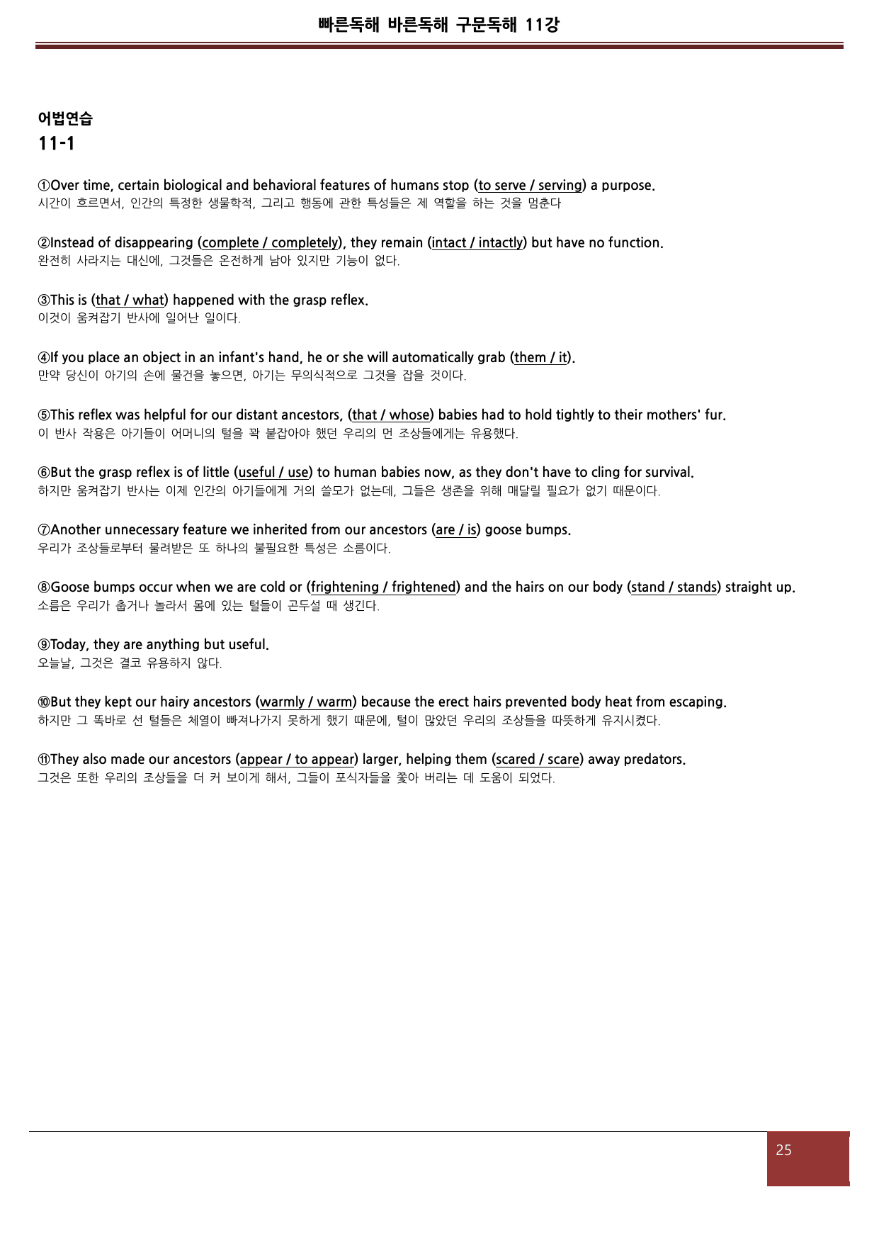 빠른독해 바른독해 구문독해(2024) 11강 분석지와 5종 워크북_preview_undefined