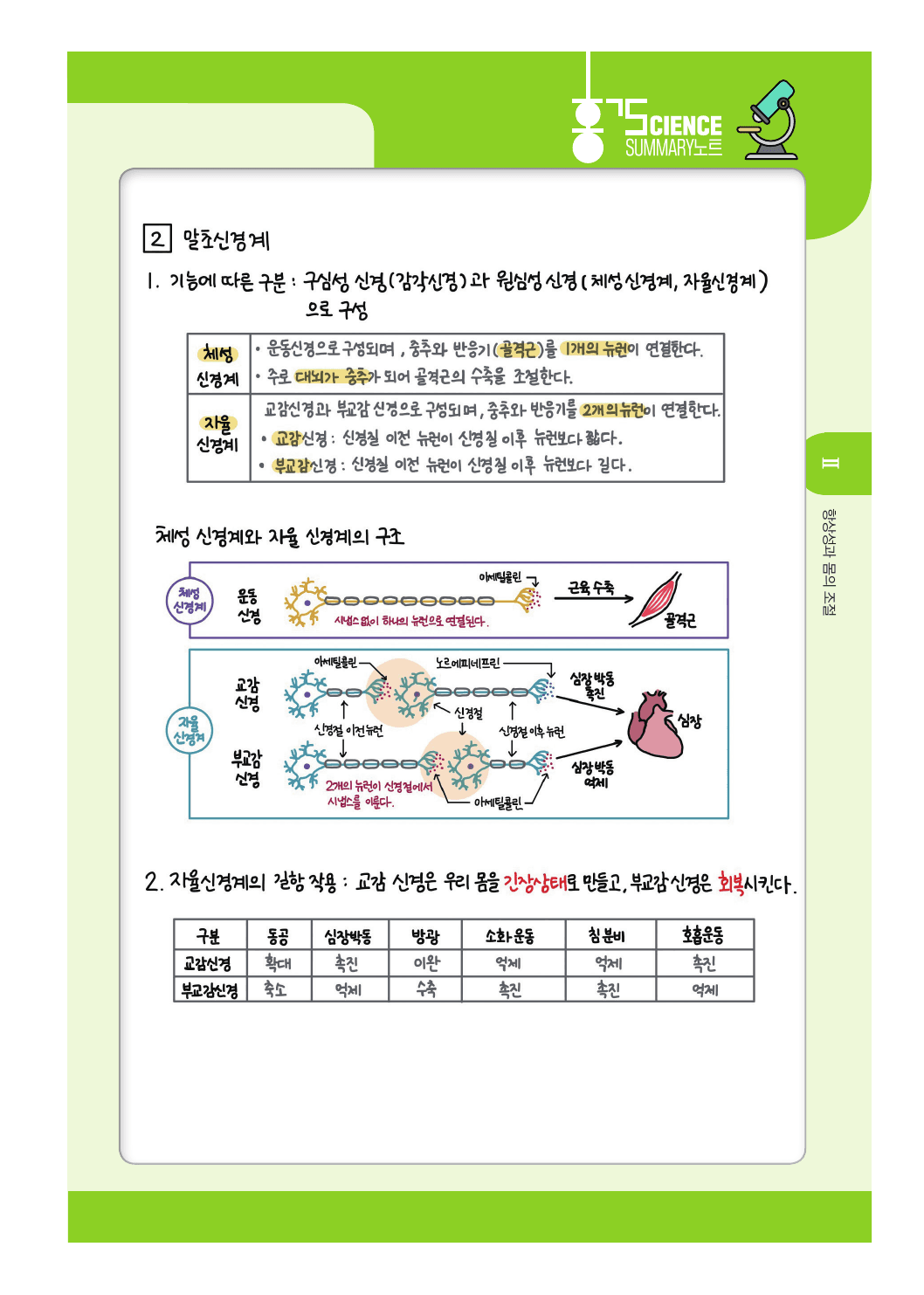 22개정 생명과학 2단원 항상성과 몸의 조절 summary 노트_preview_undefined