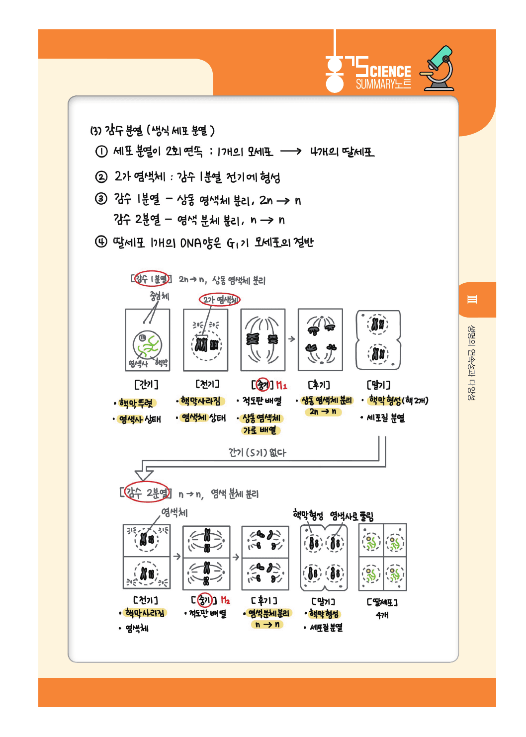 22개정 생명과학 3단원 생명의 연속성과 다양성 summary 노트_preview_undefined