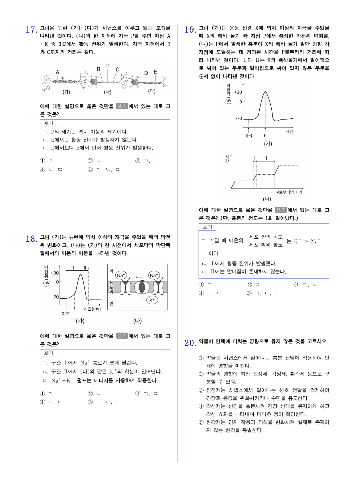 22개정 생명과학 2-1 뉴런의구조와기능,신경자극 전도와 전달 유형별문제_preview_undefined