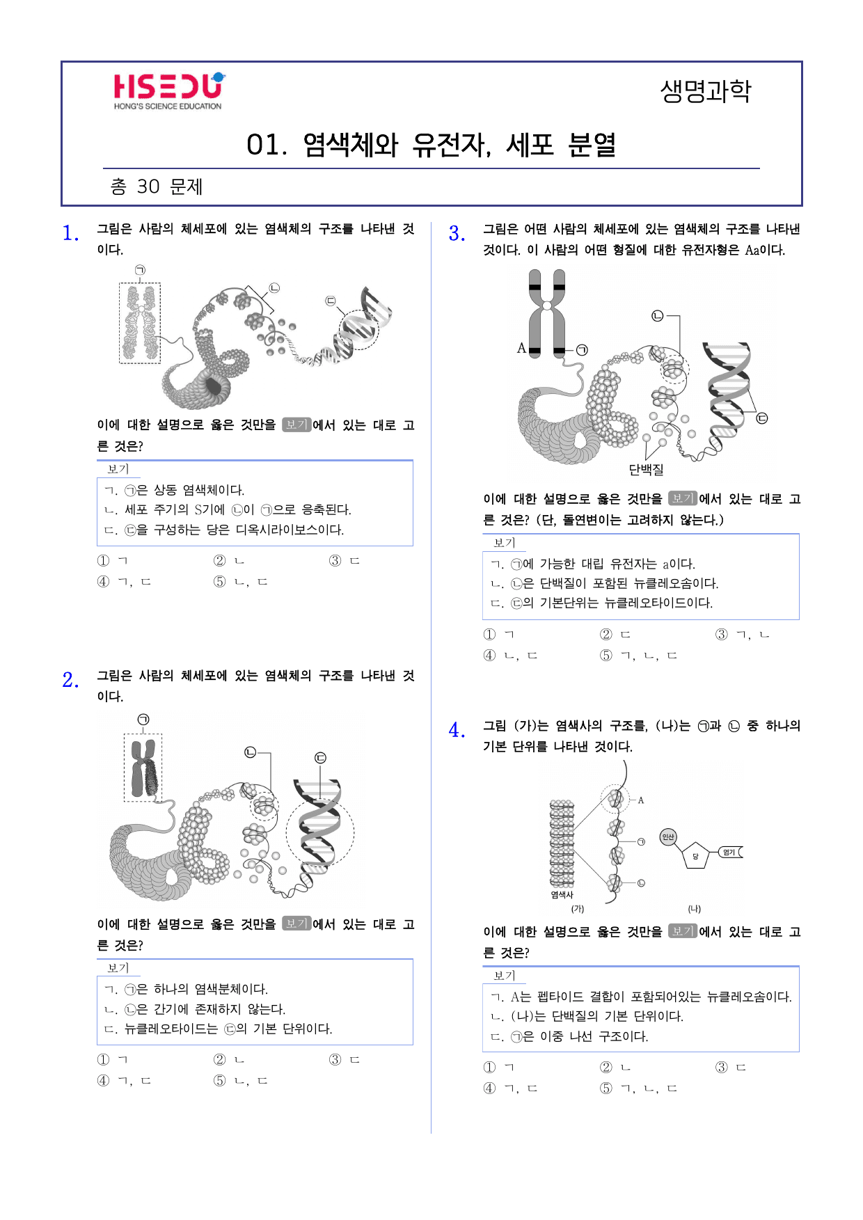 22개정 생명과학 3-1 염색체와 유전자, 세포분열 유형별 문제_preview_undefined