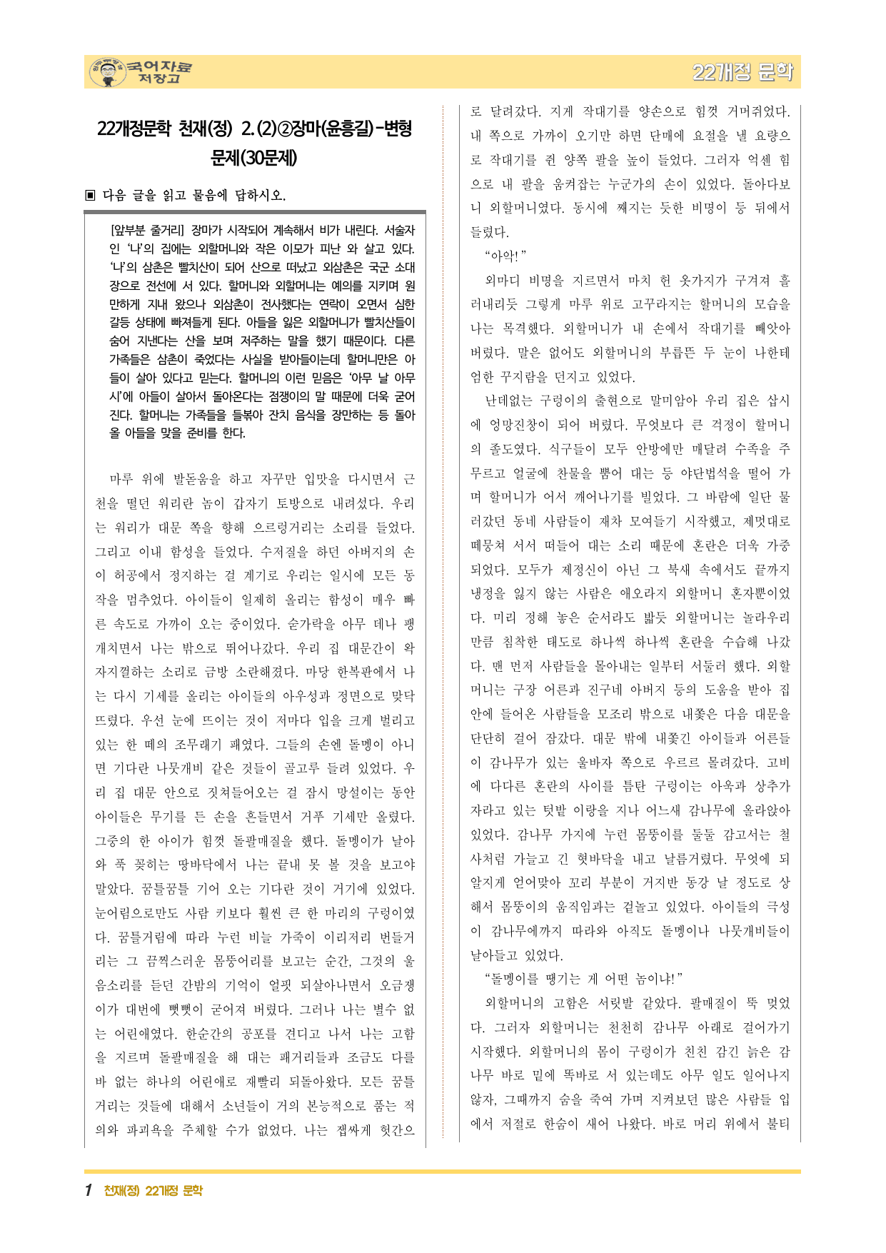 22개정문학 천재(정) 2.(2)②장마(윤흥길)-변형 문제(30문제)_preview_undefined