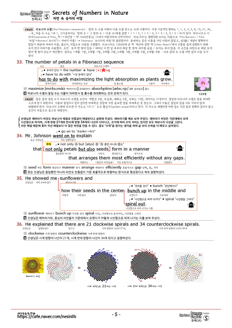 공통영어1 천재(조) Special Lesson 분석(본문+본문외)+단어 정리 및 테스트 by 내신수능도서관_preview_5