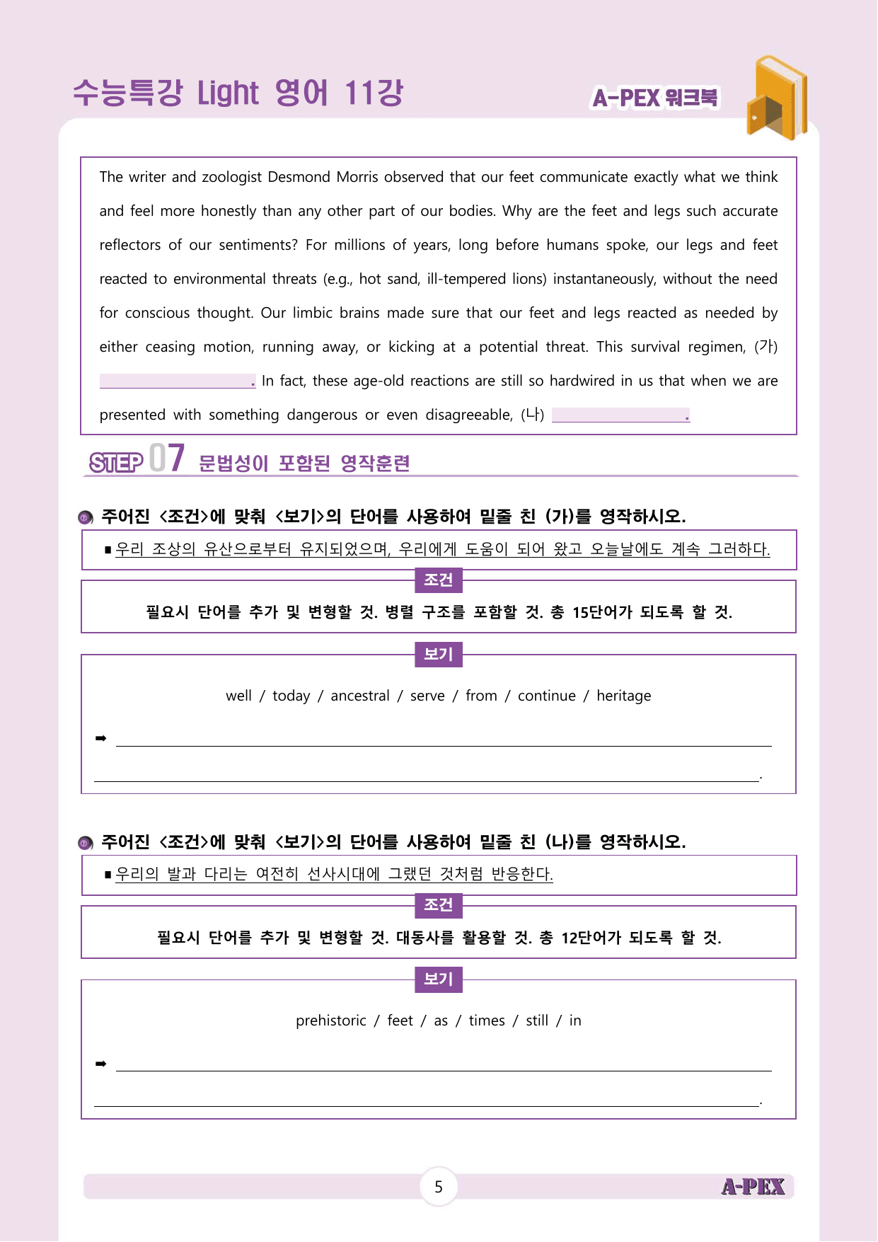 수능특강Light 영어 11강 워크북 (5지문)_preview_undefined