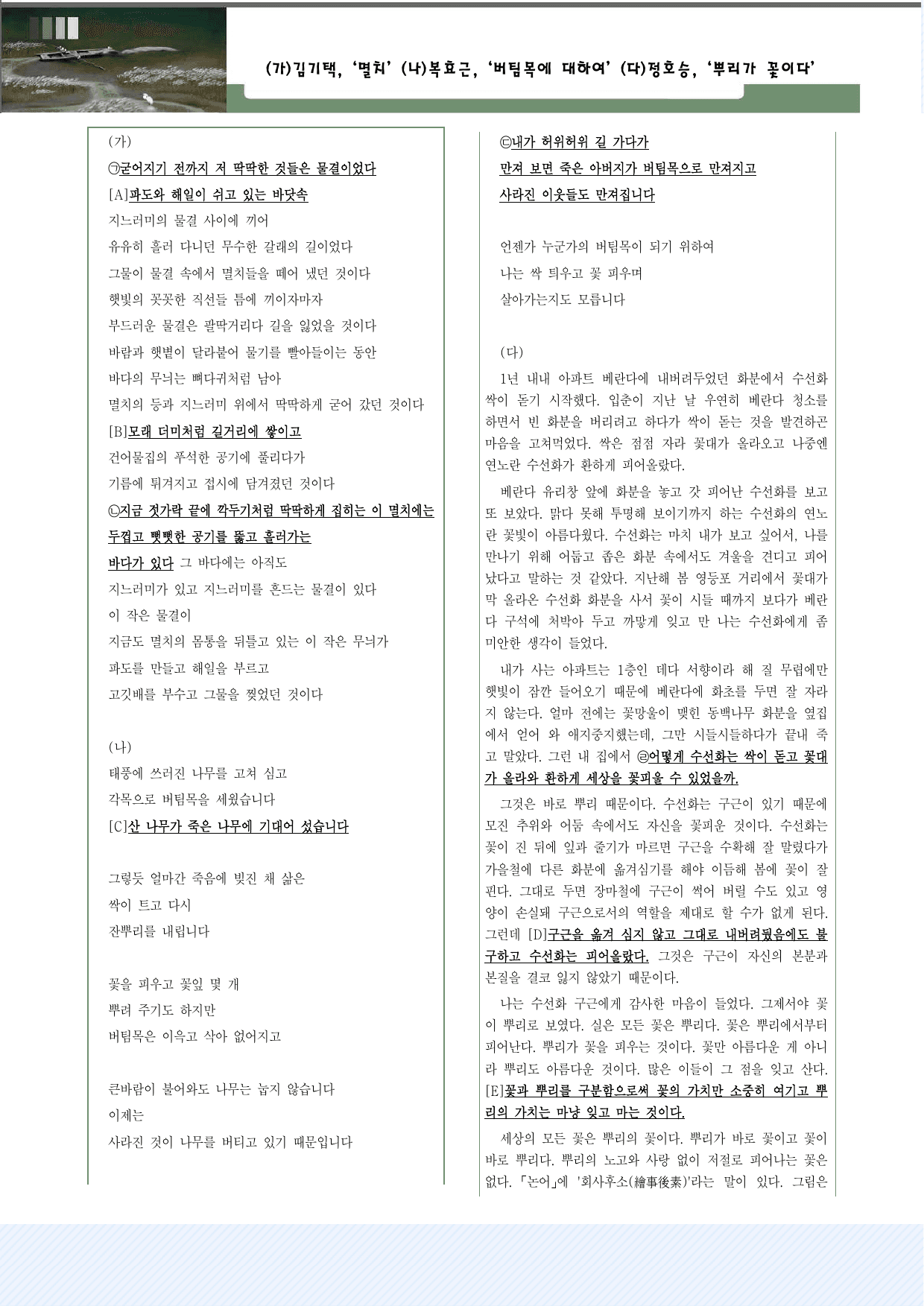 갈래복합10. 멸치_버팀목에 대하여_뿌리가 꽃이다 25제_preview_undefined