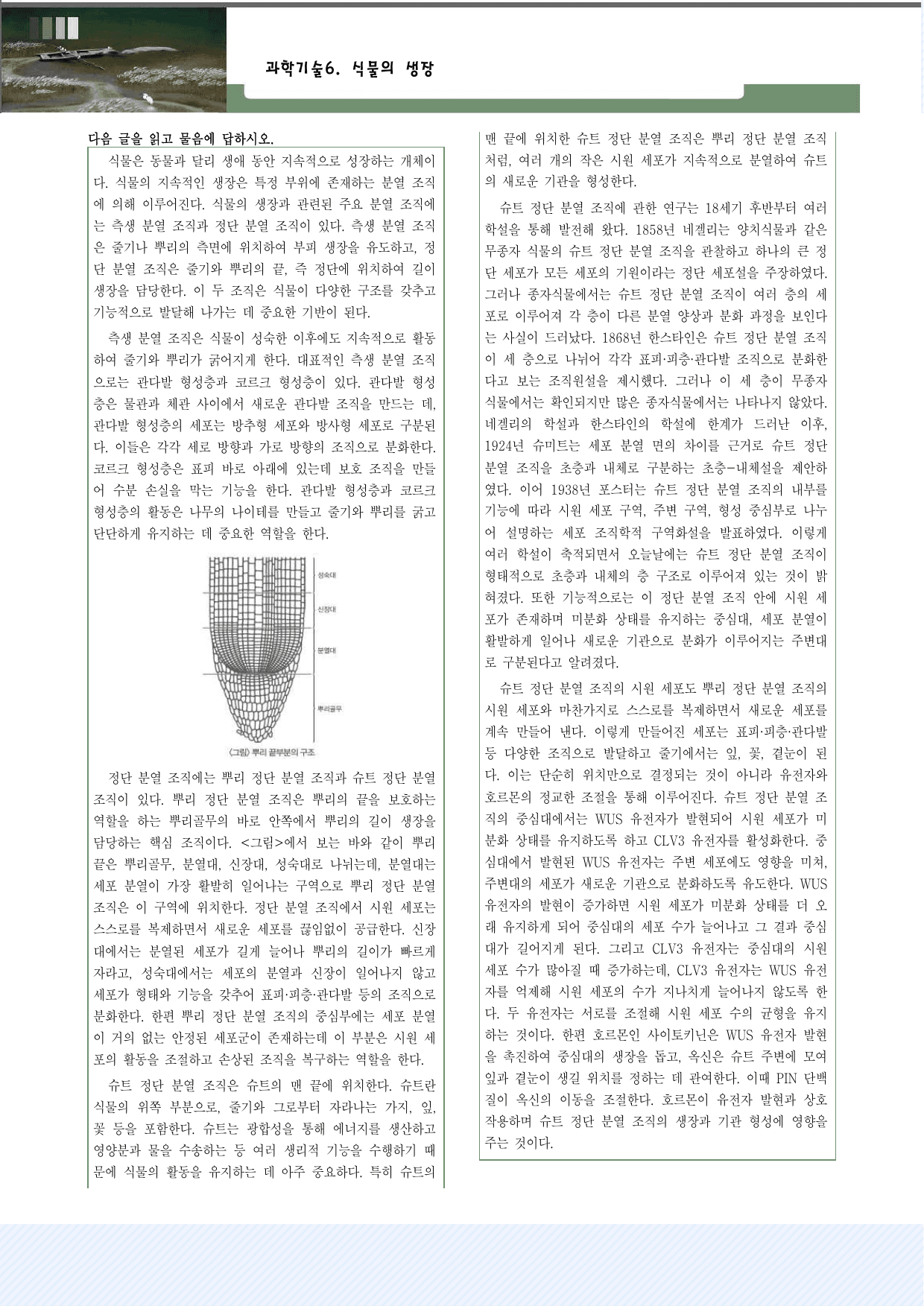과학기술6. 식물의 생장 30제_preview_undefined