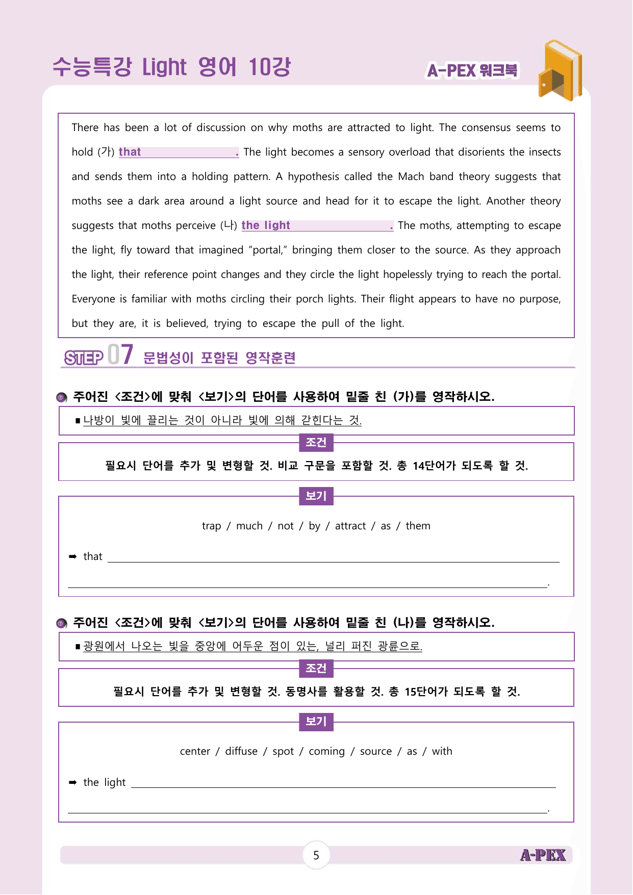수능특강Light 영어 10강 워크북 (9지문)_preview_undefined