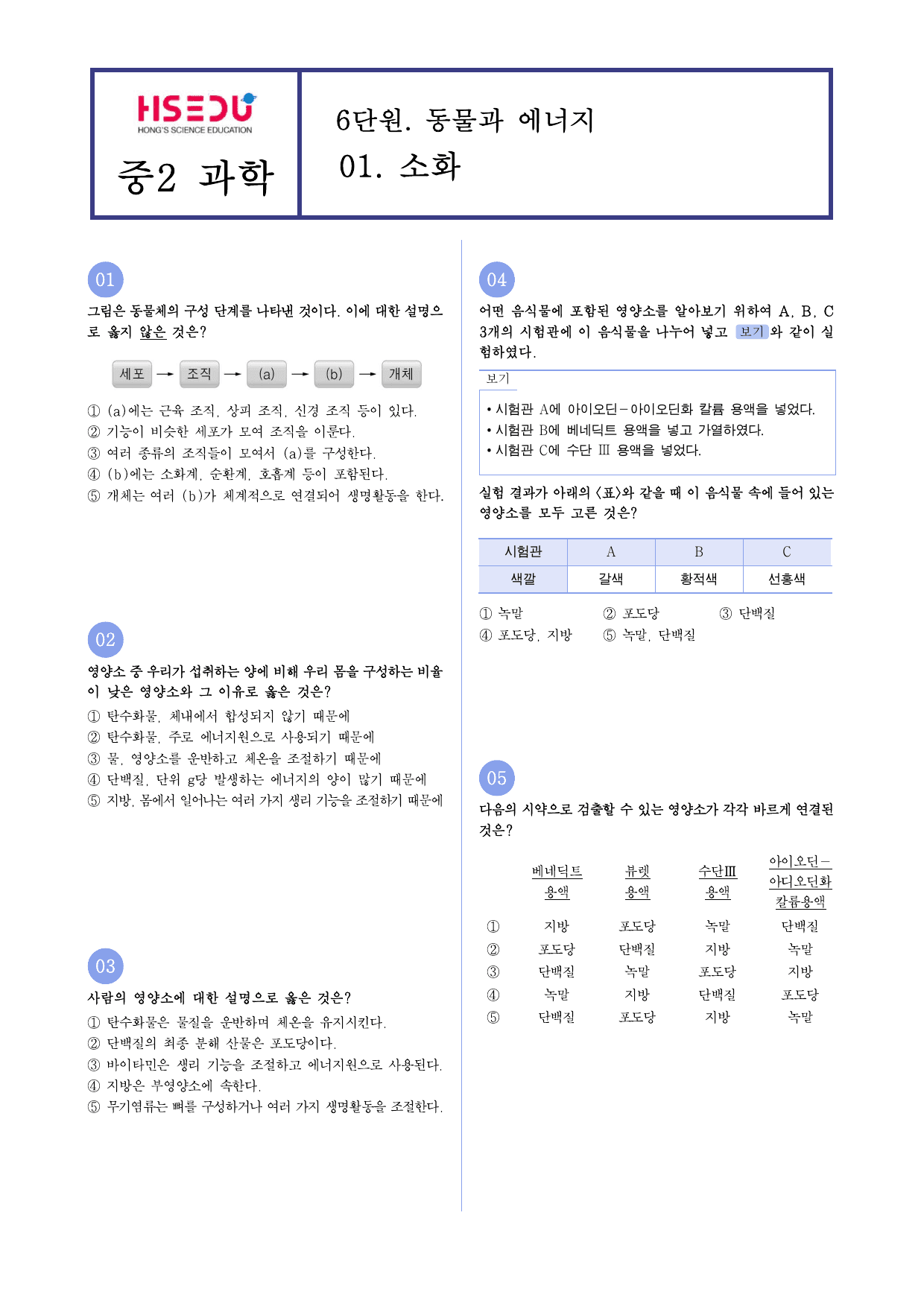 22개정 중2 6-1 소화 유형별 문제_preview_undefined