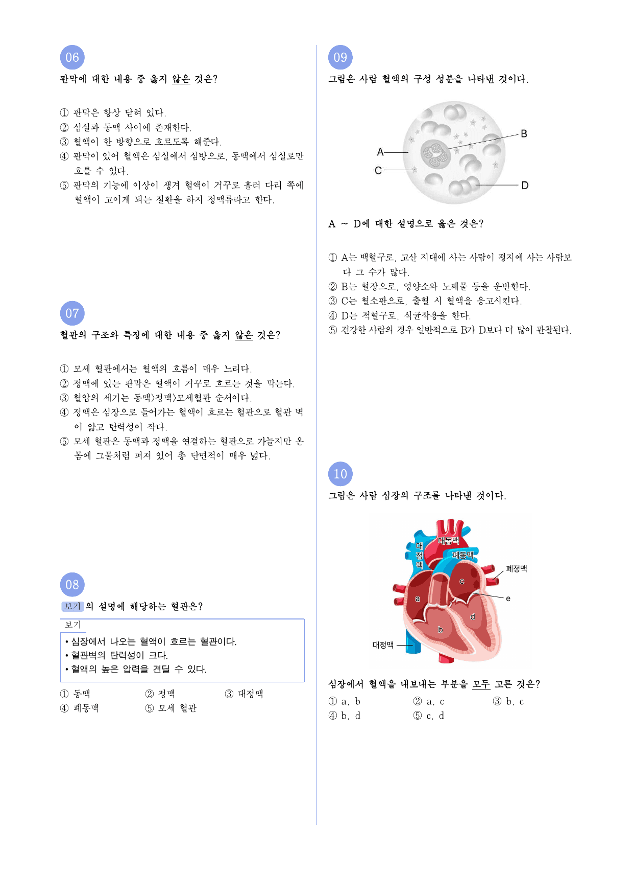 22개정 중2 6-2 순환 유형별 문제_preview_undefined