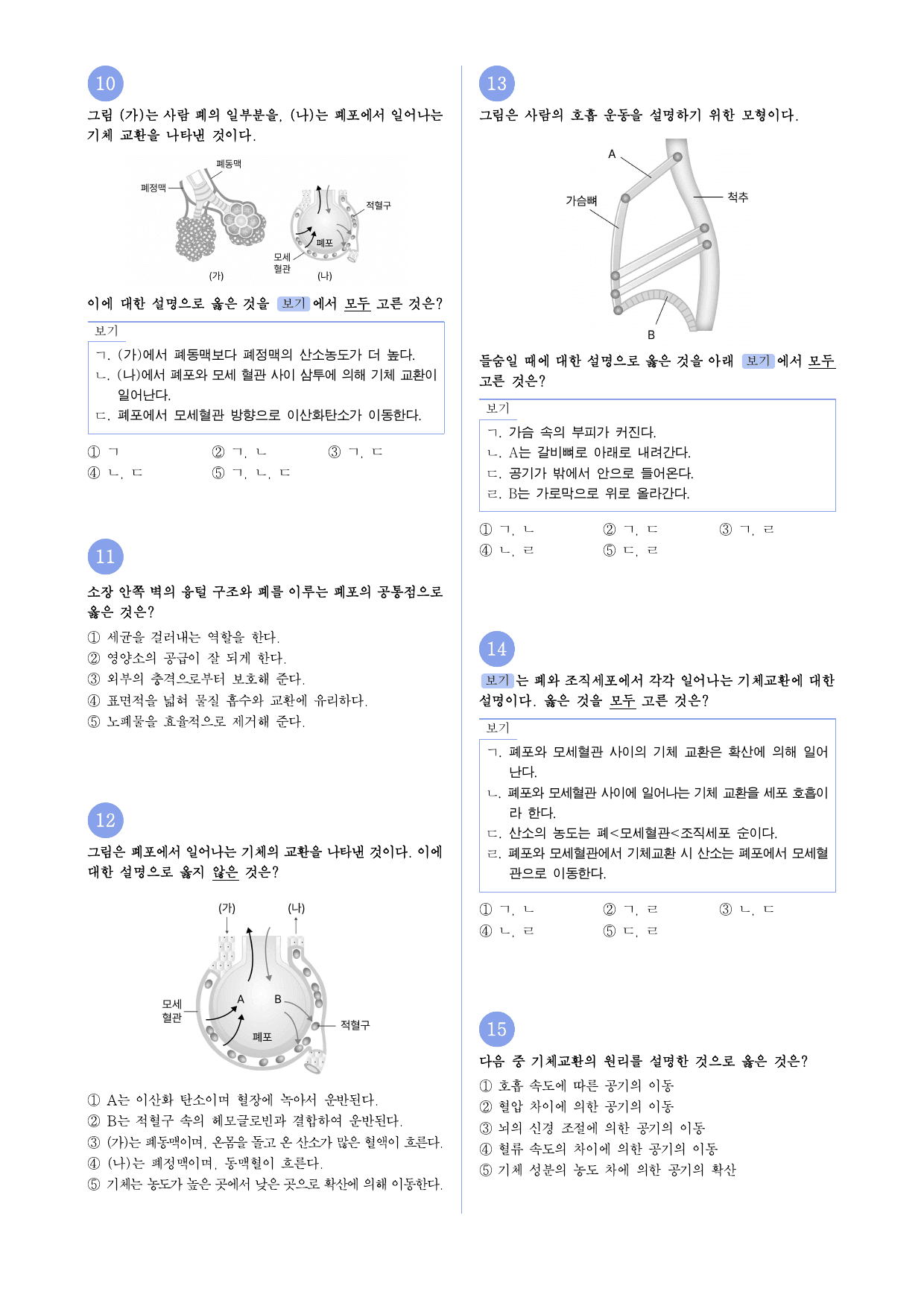 22개정 중2 6-3 호흡 유형별 문제_preview_undefined