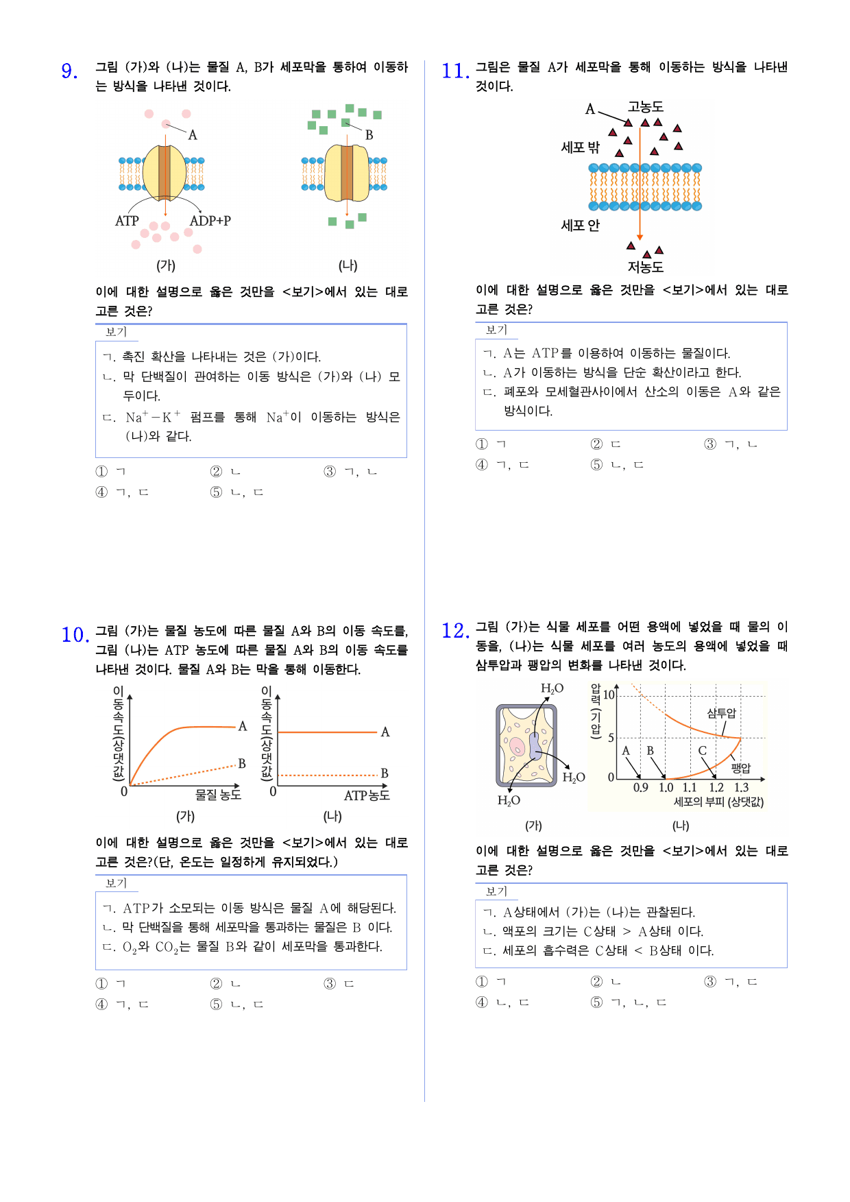 세포와 물질대사 1-3 세포막을 통한 물질 이동 유형별 문제_preview_undefined