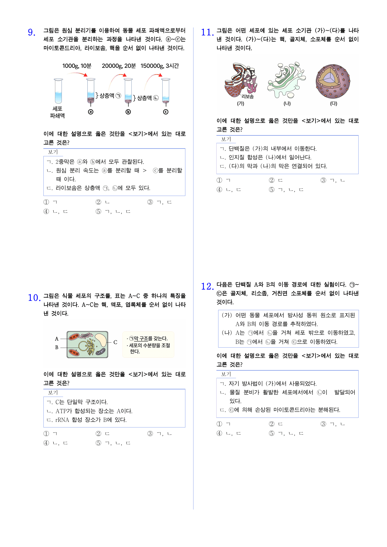 세포와 물질대사 1단원 고난도 문제 _preview_undefined
