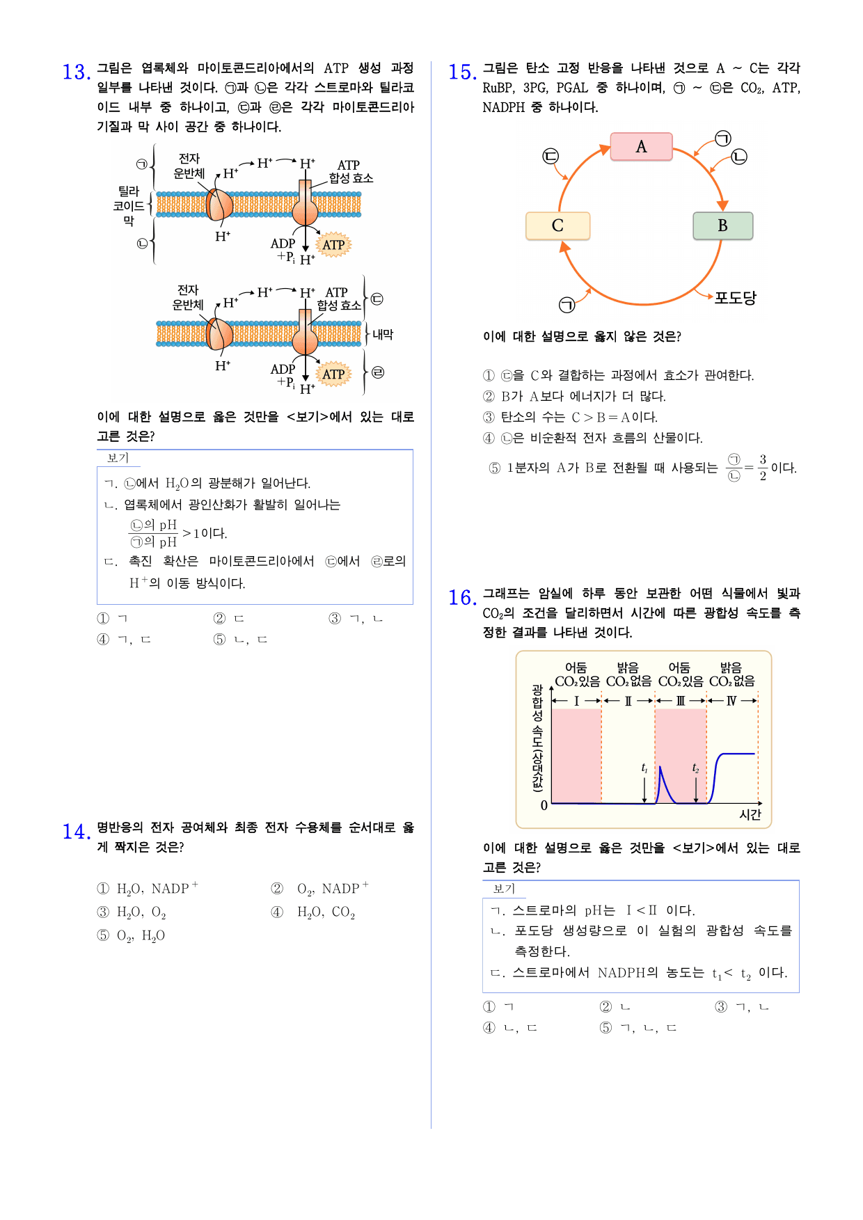 세포와 물질대사 3-3 광합성 유형별 문제_preview_undefined