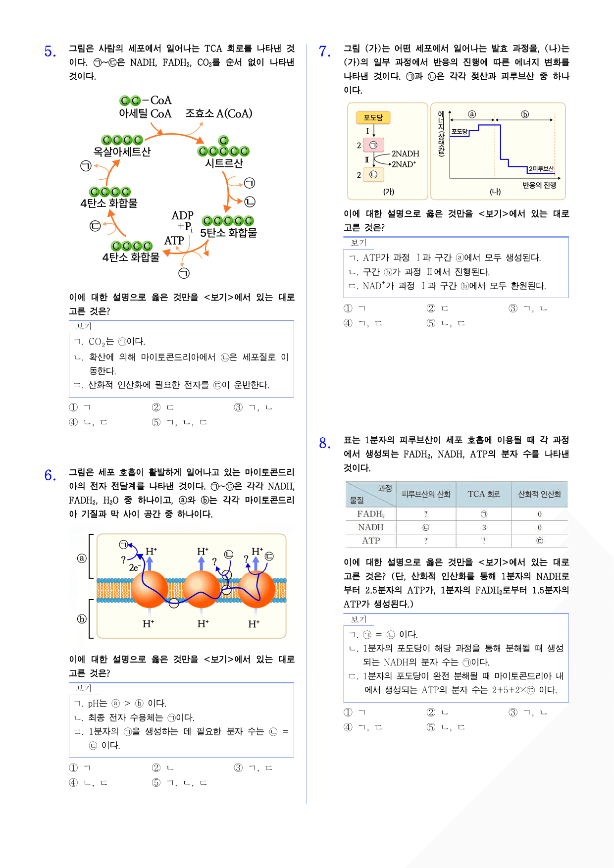 세포와 물질대사 3단원 고난도 문제_preview_undefined