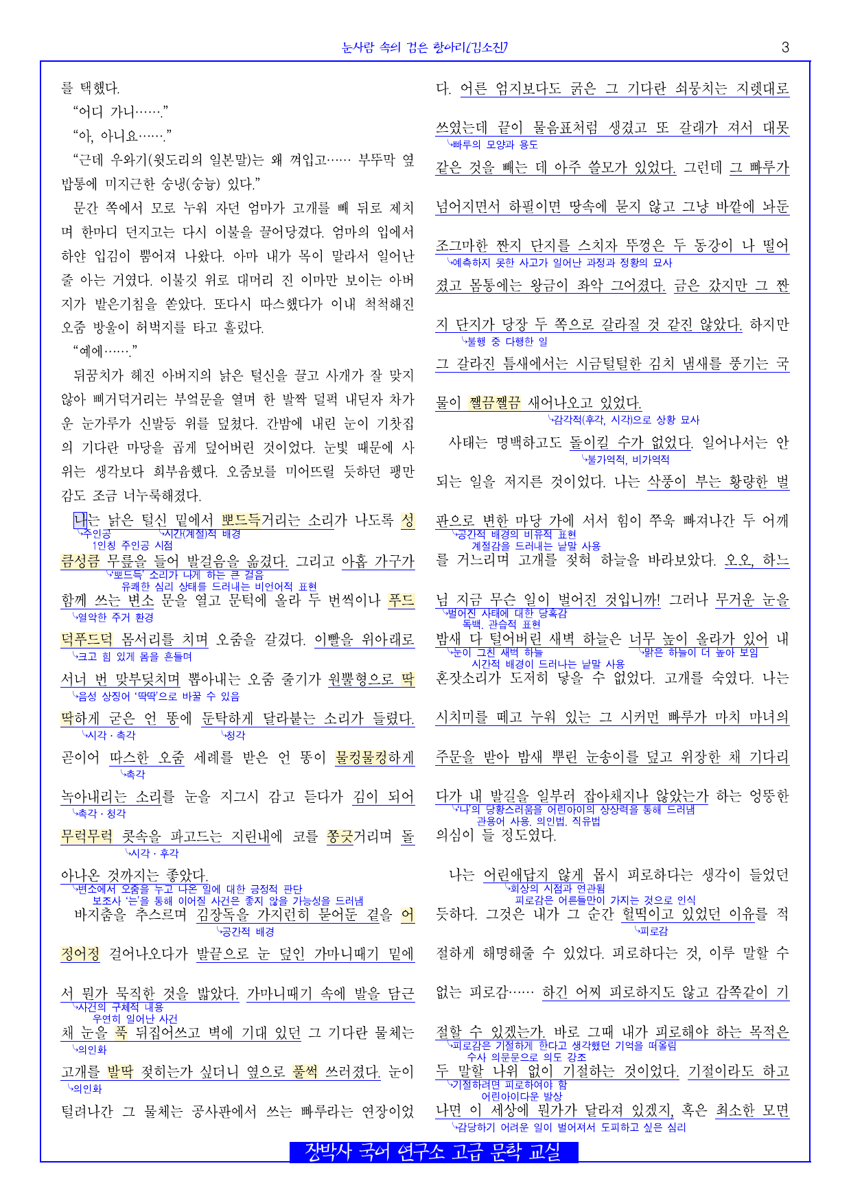 눈사람 속의 검은 항아리(김소진) 전문+분석(일부)+문제_preview_undefined