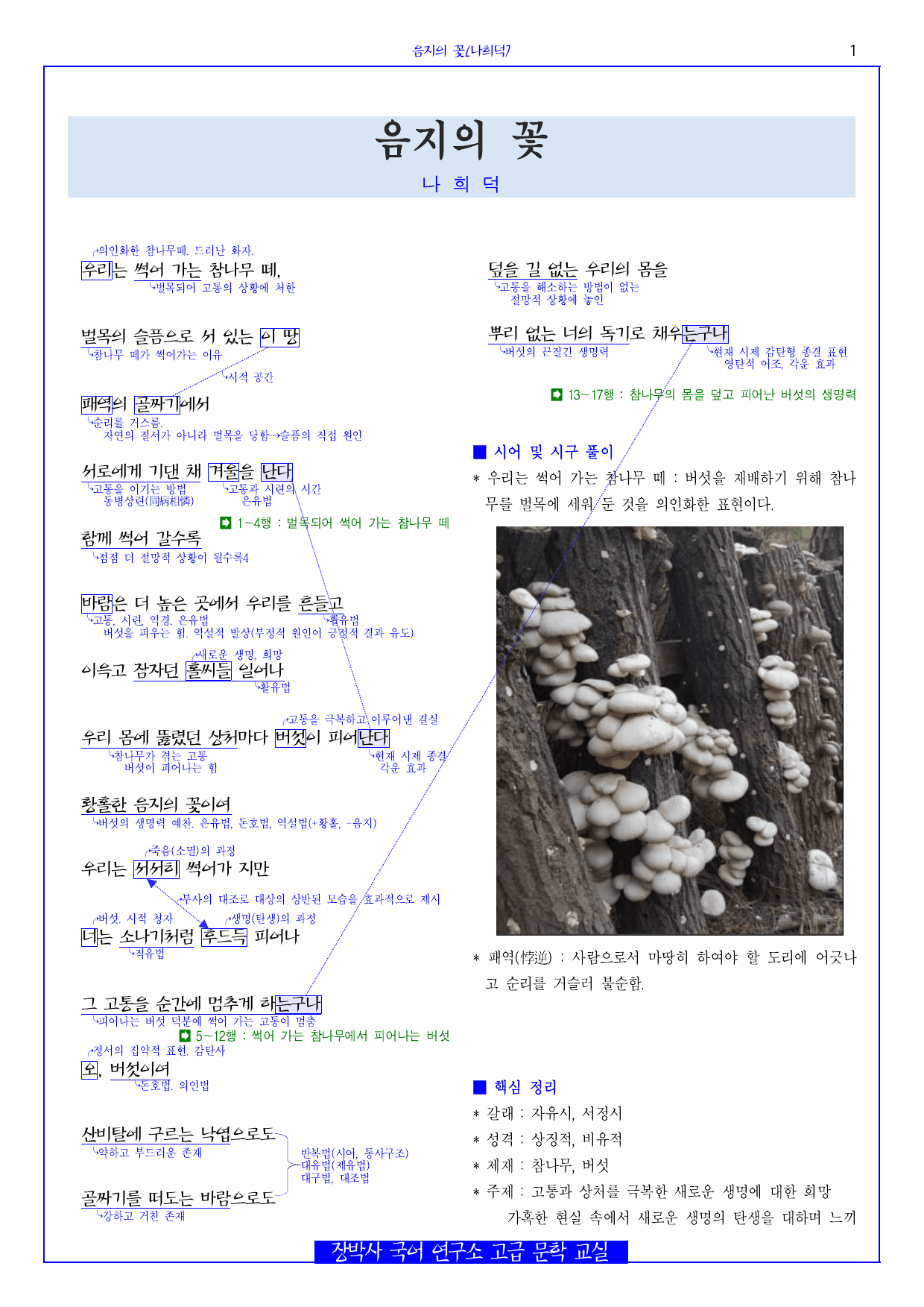 음지의 꽃(나희덕) 분석+해설+문제_preview_undefined