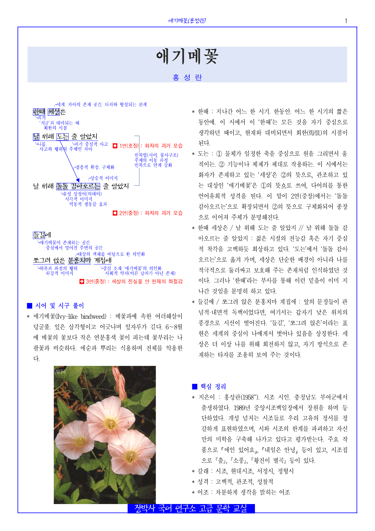 애기메꽃(홍성란) 분석+해설+문제_preview_undefined
