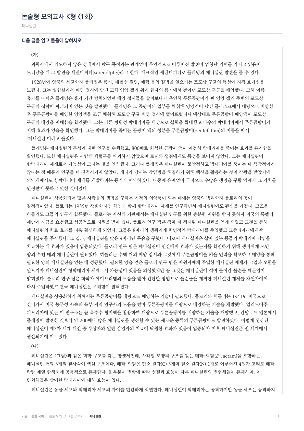 국민대 국어 약술형 주제통합12 세렌디피티 페니실린_preview_undefined