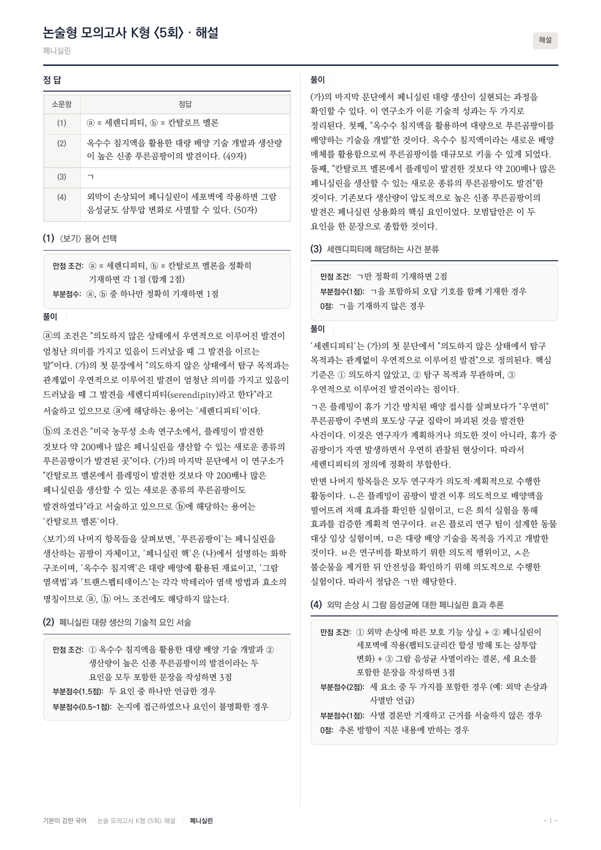 국민대 국어 약술형 주제통합12 세렌디피티 페니실린_preview_undefined