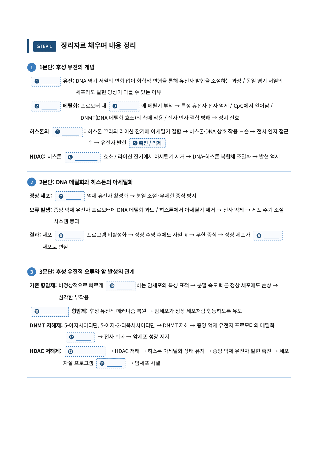 후성 유전학을 이용한 항암 치료_preview_undefined