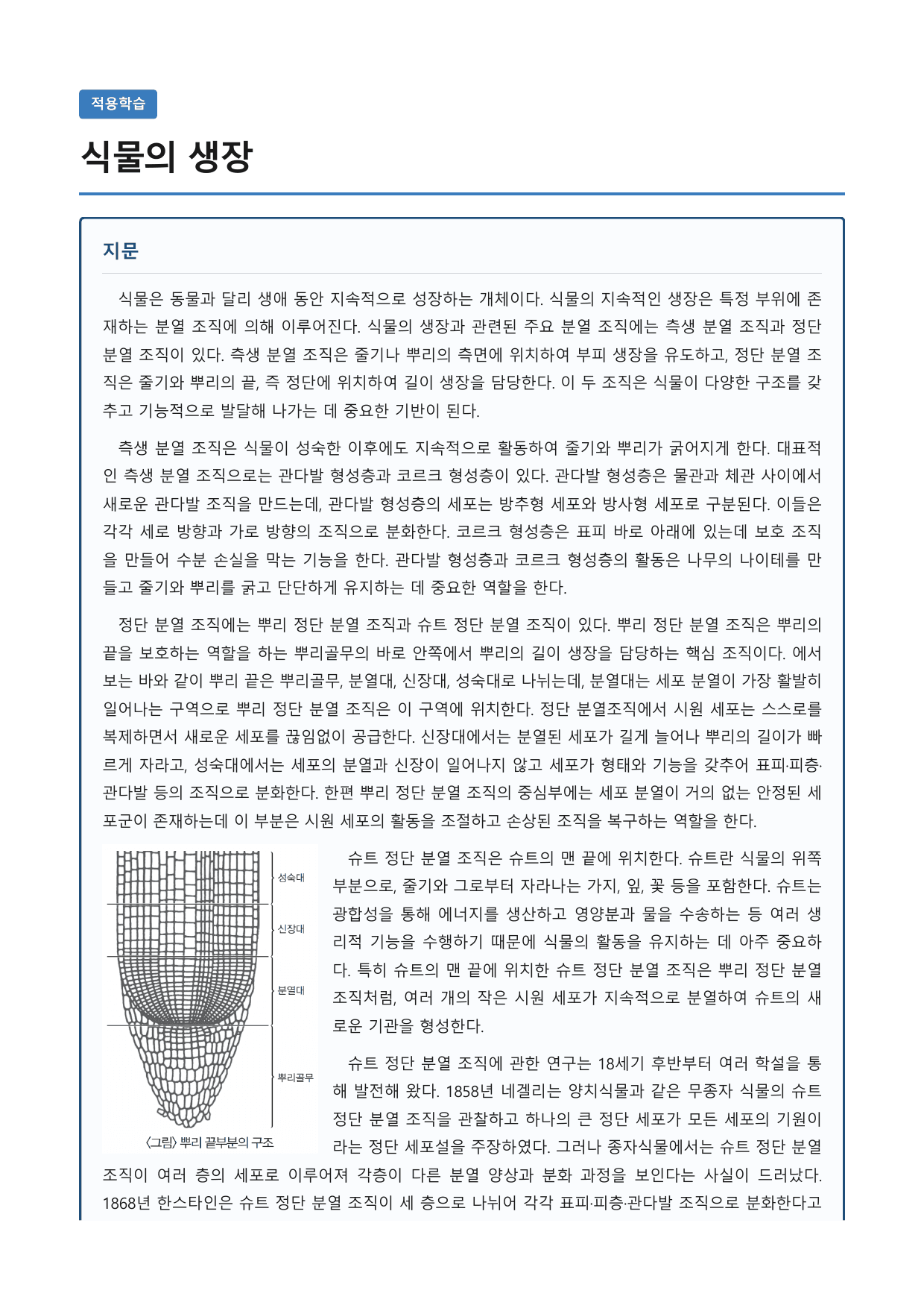 식물의 생장_preview_undefined