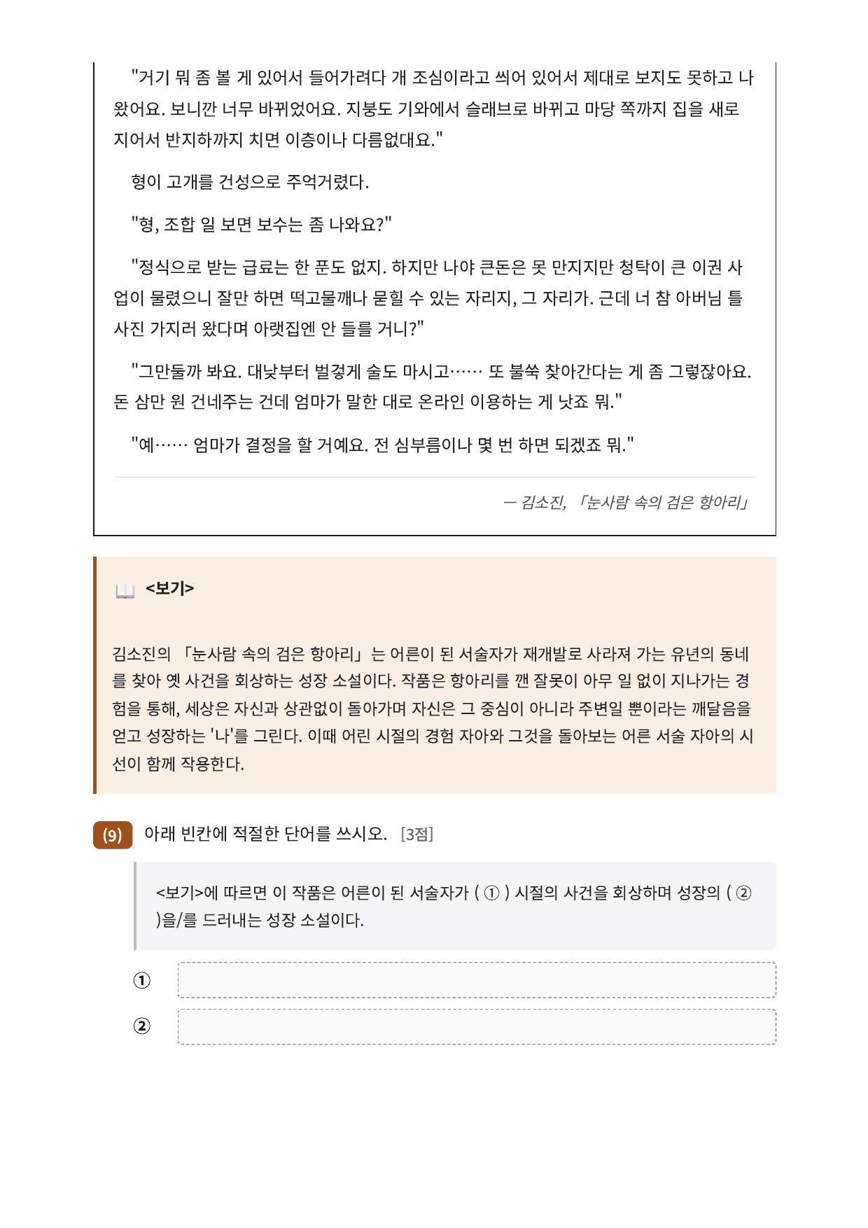 2027 가천대 국민대 약술형국어 수특2부현대소설11 눈사람속의검은항아리_preview_undefined