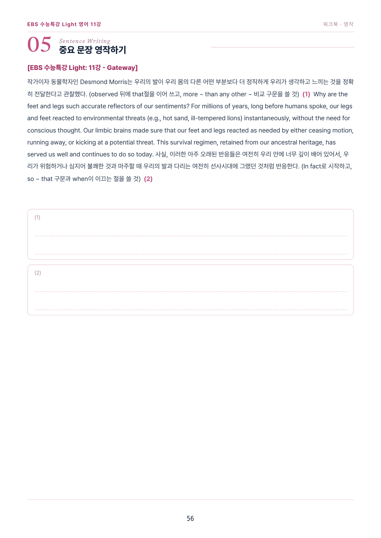 수특라이트영어 11강 워크북 6종+객관식 25제 변형/ 파이널 한 권으로_preview_undefined
